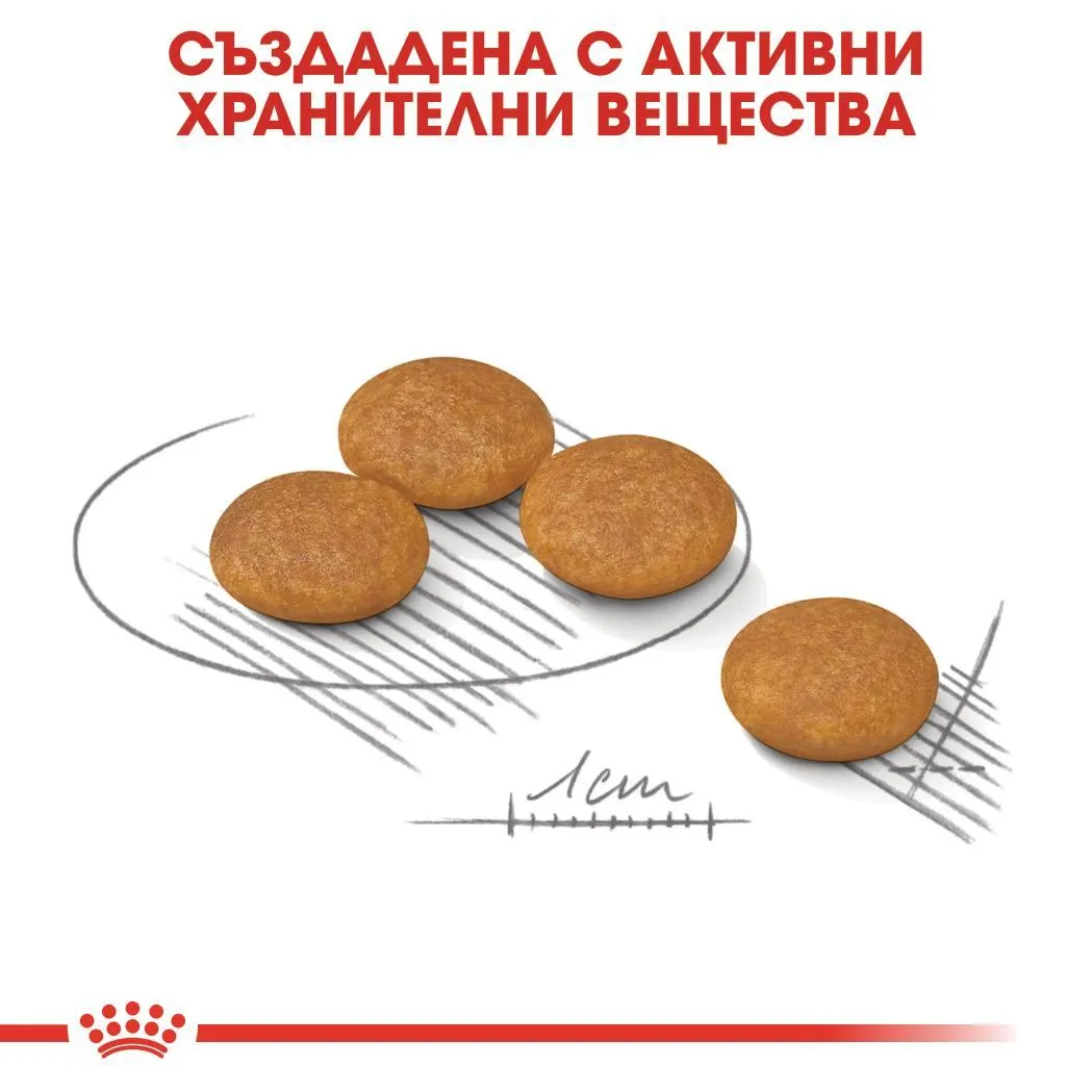 ROYAL CANIN® CCN MINI DERMACOMFORT 3кг - изображение 3