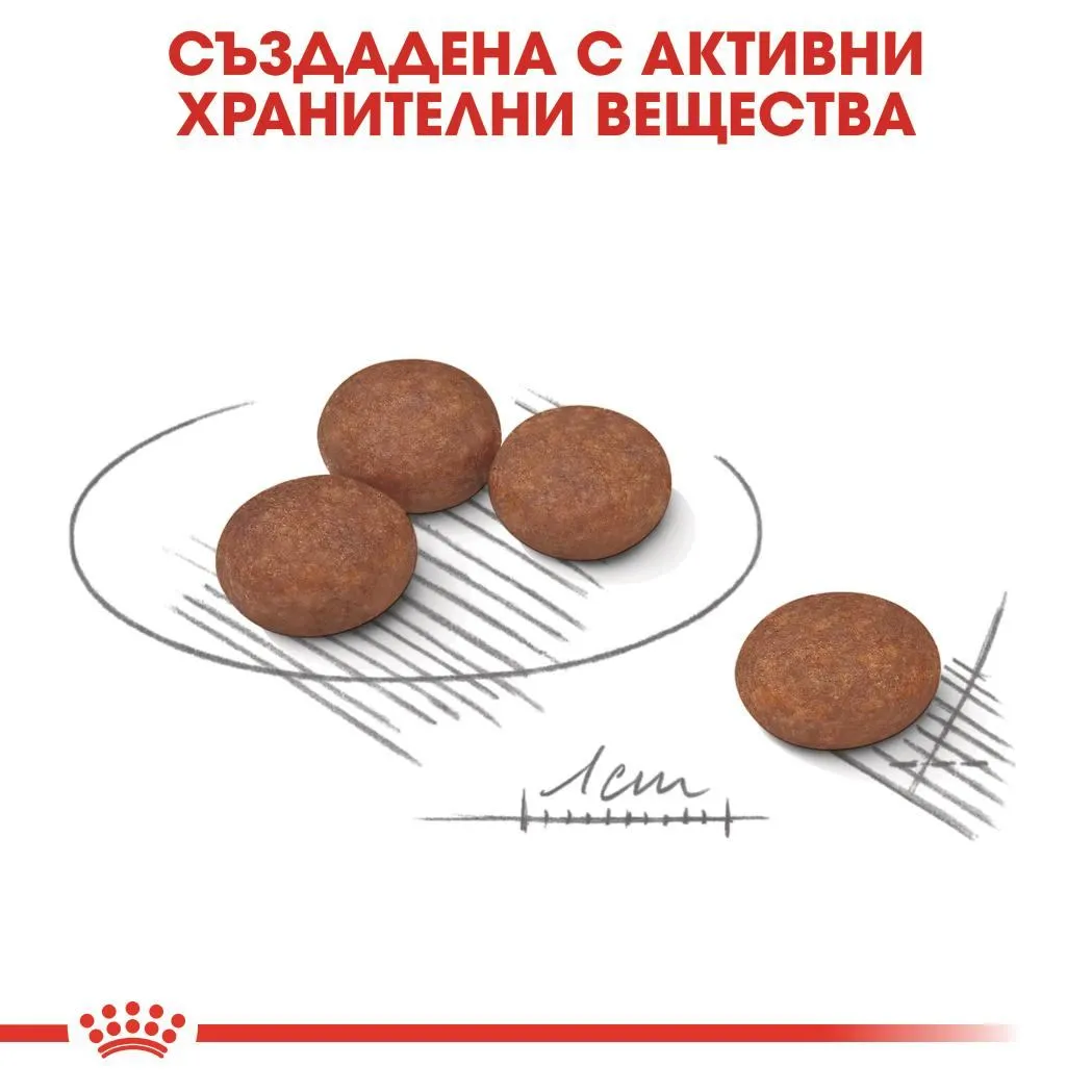 ROYAL CANIN® CCN MINI DIGESTIVE CARE 8кг - изображение 3