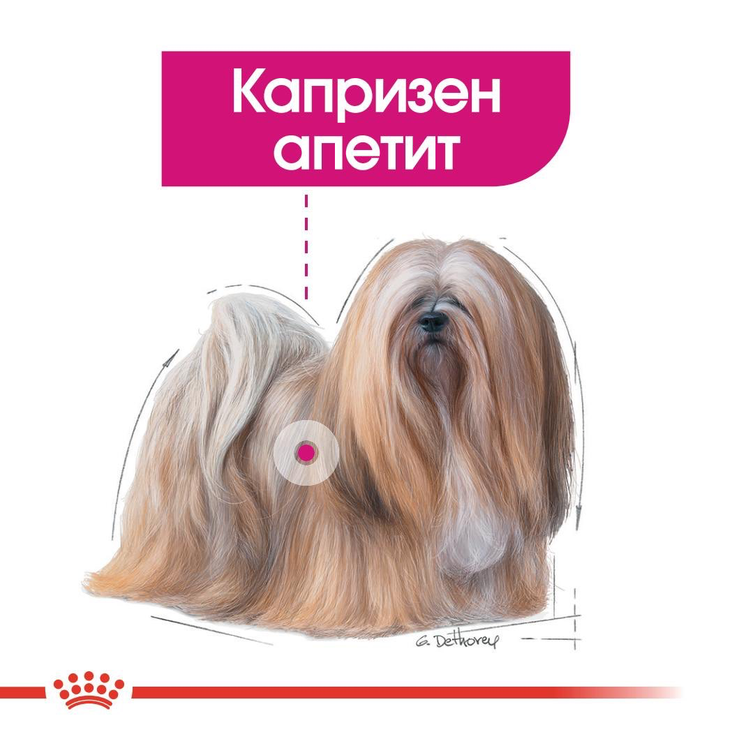 ROYAL CANIN® CCN MINI EXIGENT 3кг - изображение 1