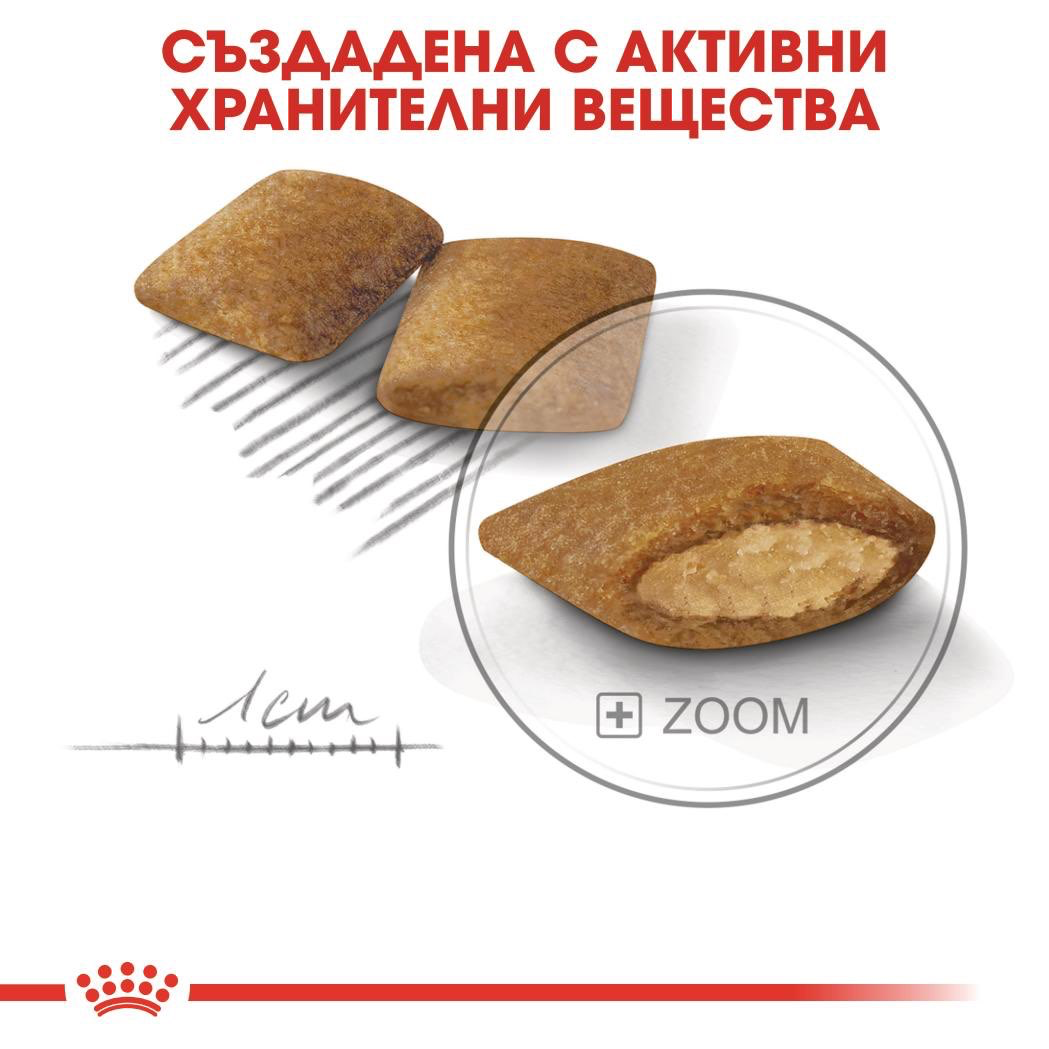 ROYAL CANIN® CCN MINI EXIGENT 3кг - изображение 4