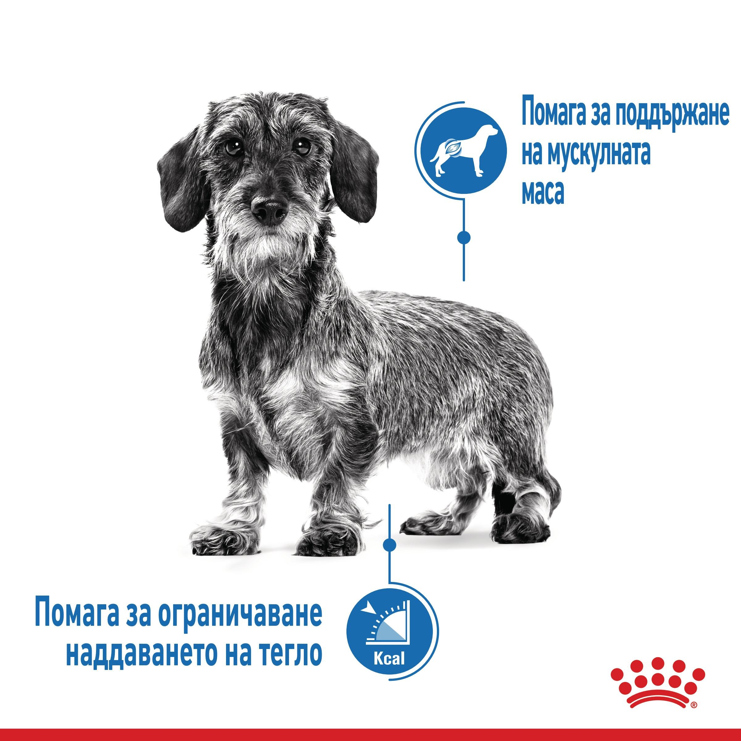 ROYAL CANIN® CCN MINI LIGHT WEIGHT CARE 8кг - изображение 2