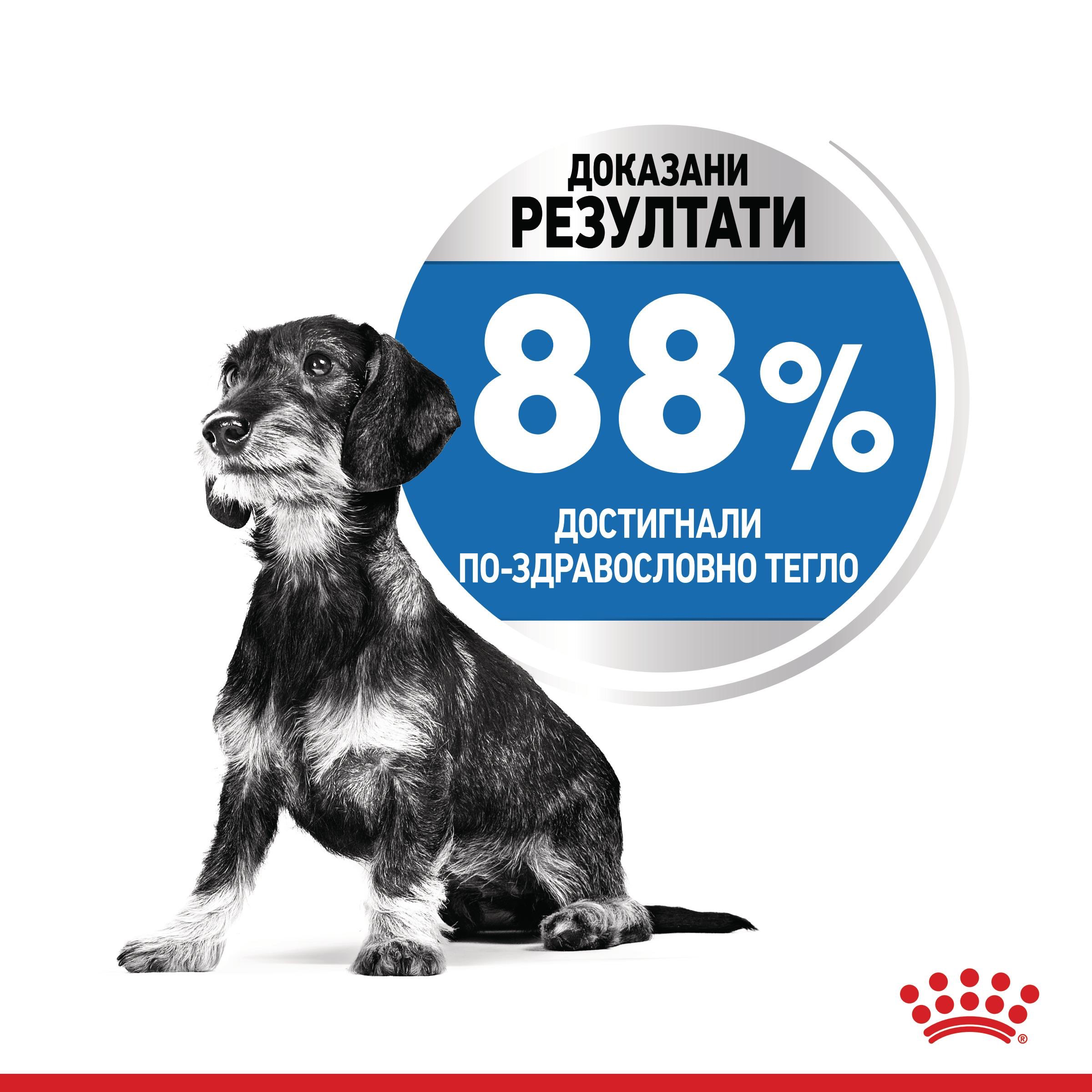 ROYAL CANIN® CCN MINI LIGHT WEIGHT CARE 8кг - изображение 3