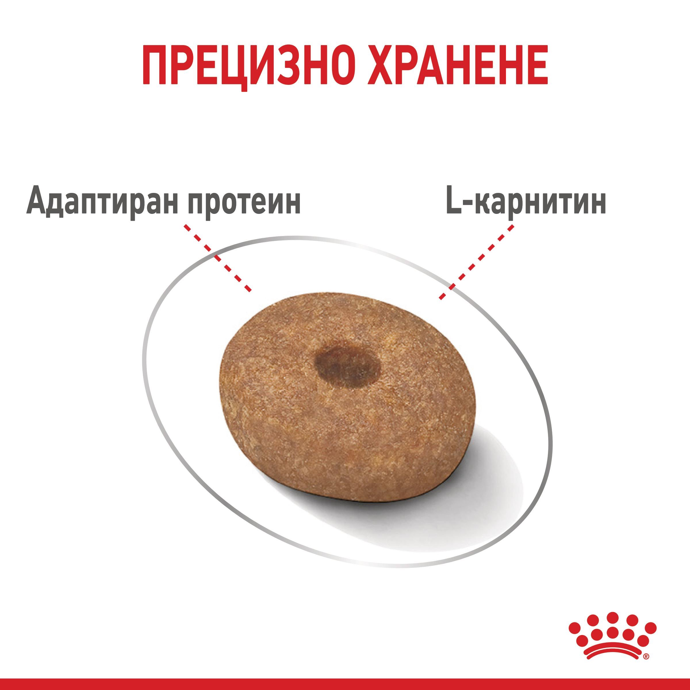 ROYAL CANIN® CCN MINI LIGHT WEIGHT CARE 8кг - изображение 4
