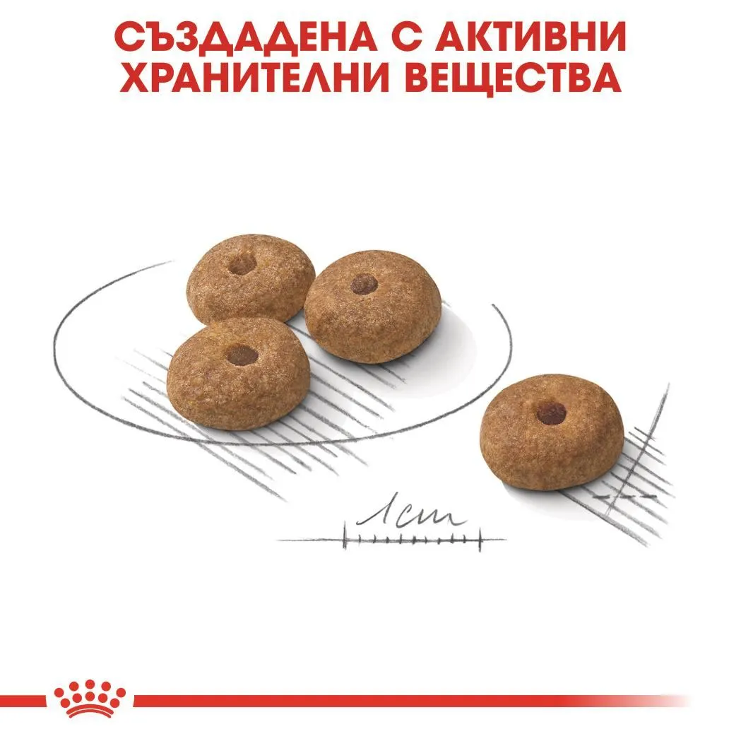 ROYAL CANIN® CCN MINI STERILISED 3кг - изображение 3