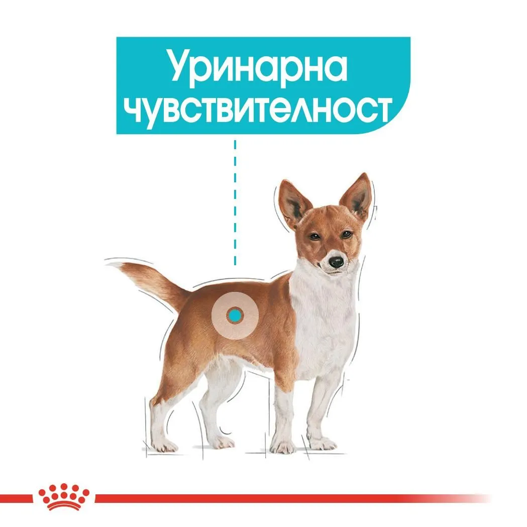 ROYAL CANIN® CCN MINI URINARY CARE 1кг - изображение 5