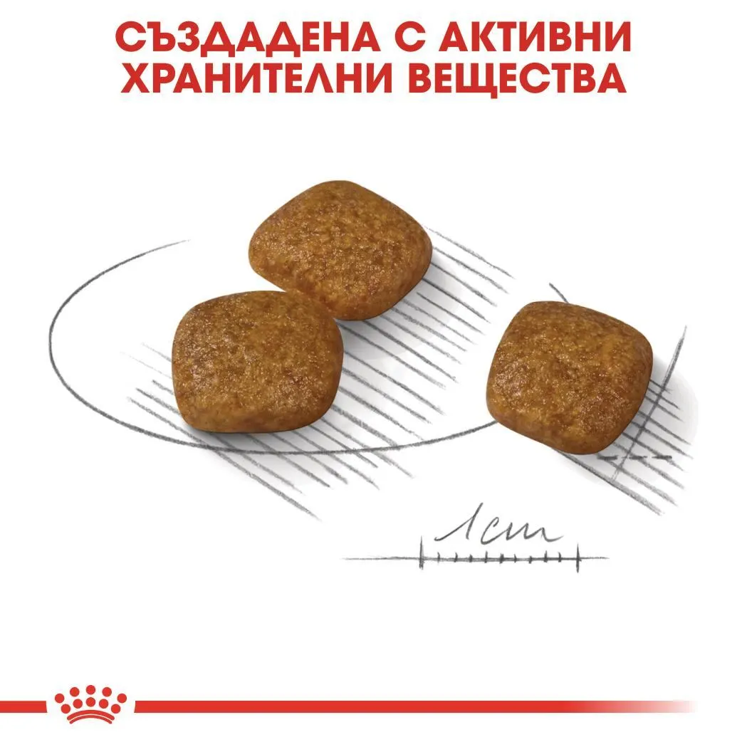 ROYAL CANIN® CCN MINI URINARY CARE 1кг - изображение 3