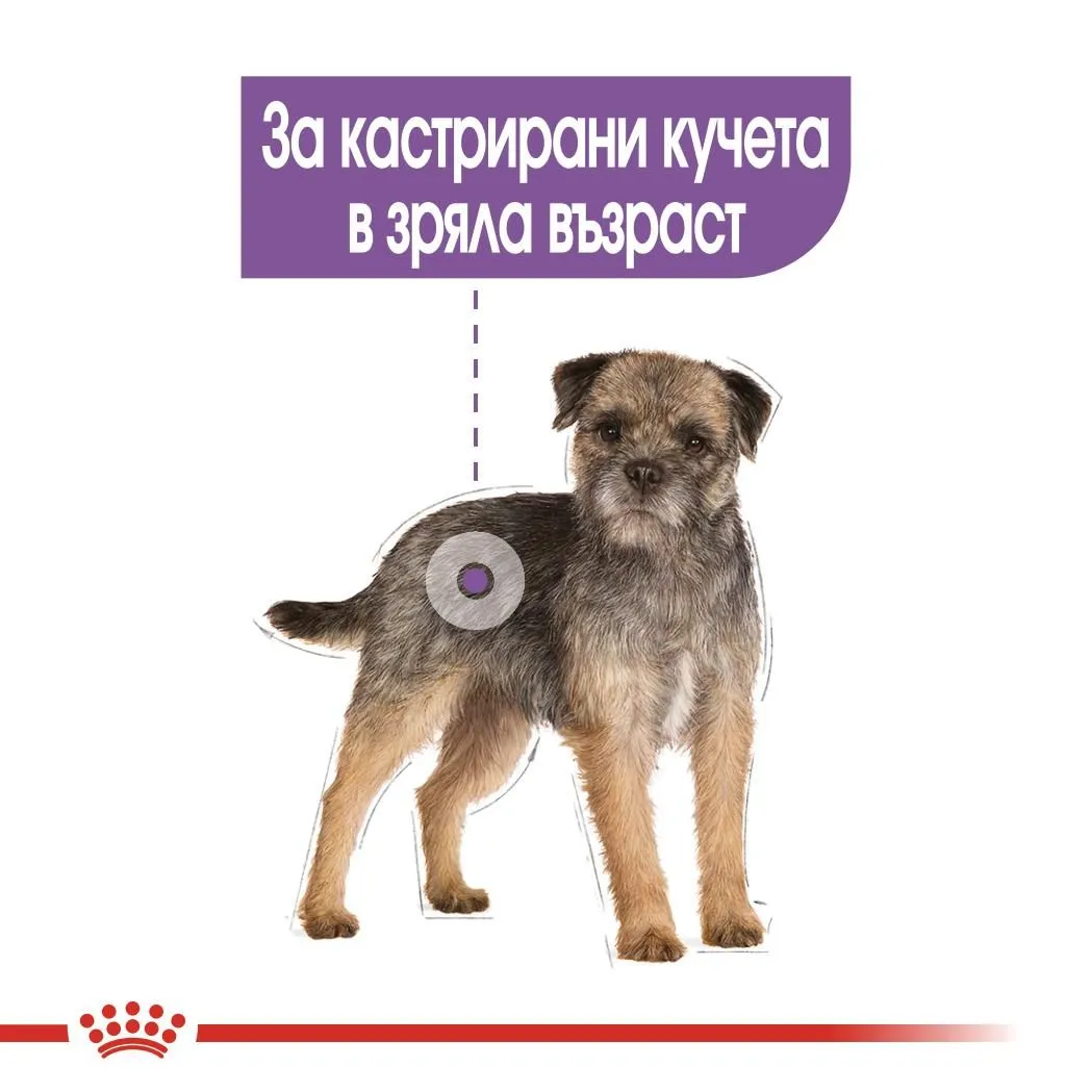 ROYAL CANIN® CCN STERILIZED пастет 85г - изображение 5