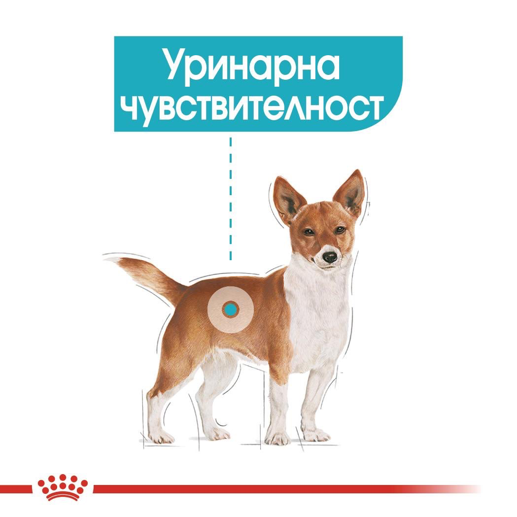ROYAL CANIN® CCN URINARY CARE пастет 85г - изображение 2
