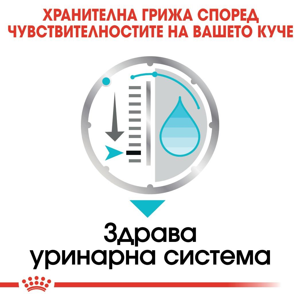 ROYAL CANIN® CCN URINARY CARE пастет 85г - изображение 3