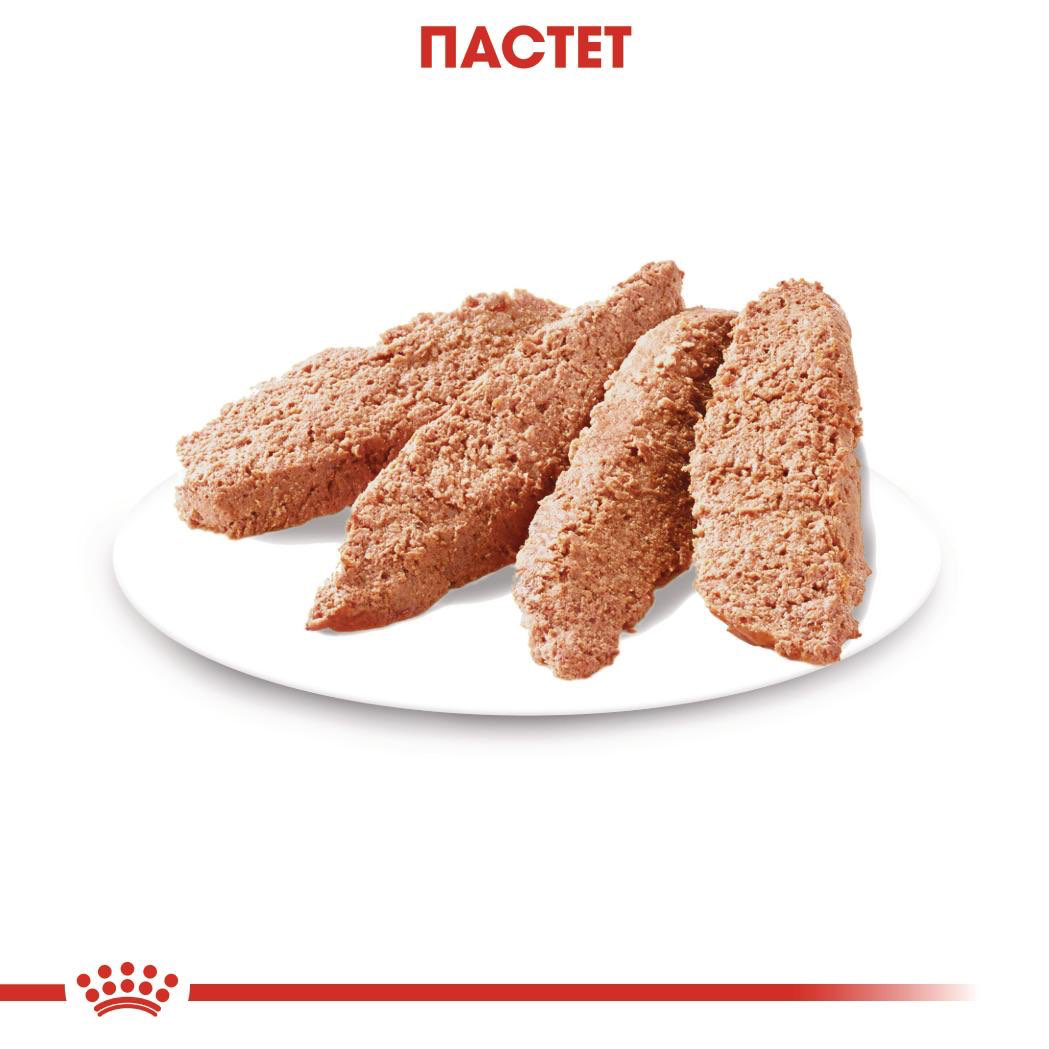 ROYAL CANIN® CCN URINARY CARE пастет 85г - изображение 4
