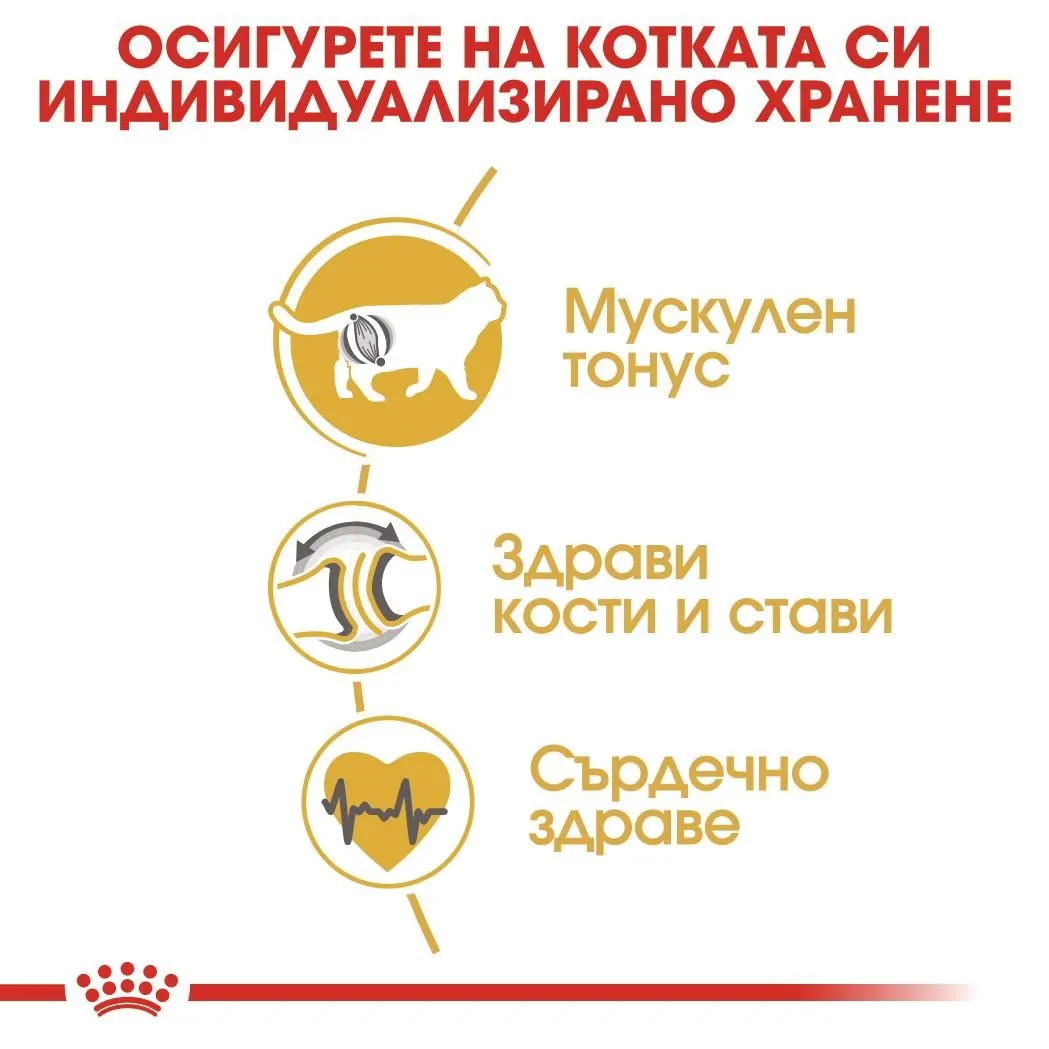 ROYAL CANIN® FBN BRITISH SHORTHAIR ADULT 10кг - изображение 3