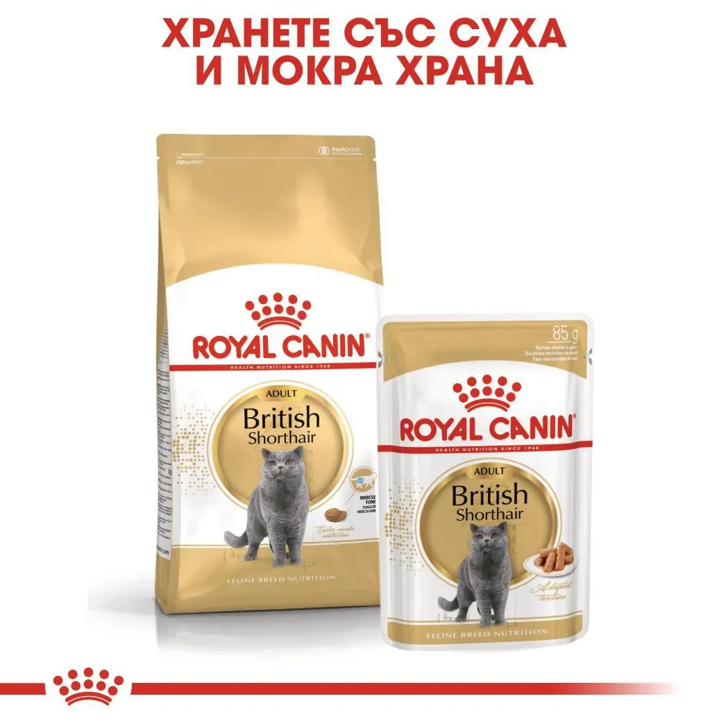 ROYAL CANIN® FBN BRITISH SHORTHAIR ADULT 10кг - изображение 2