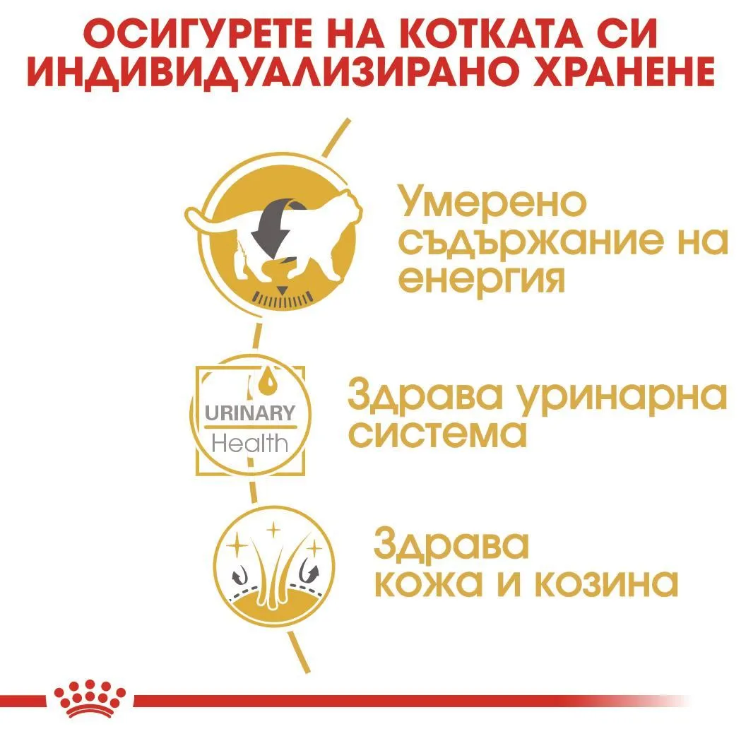 ROYAL CANIN® FBN BRITISH SHORTHAIR хапки в сос 85г - изображение 3