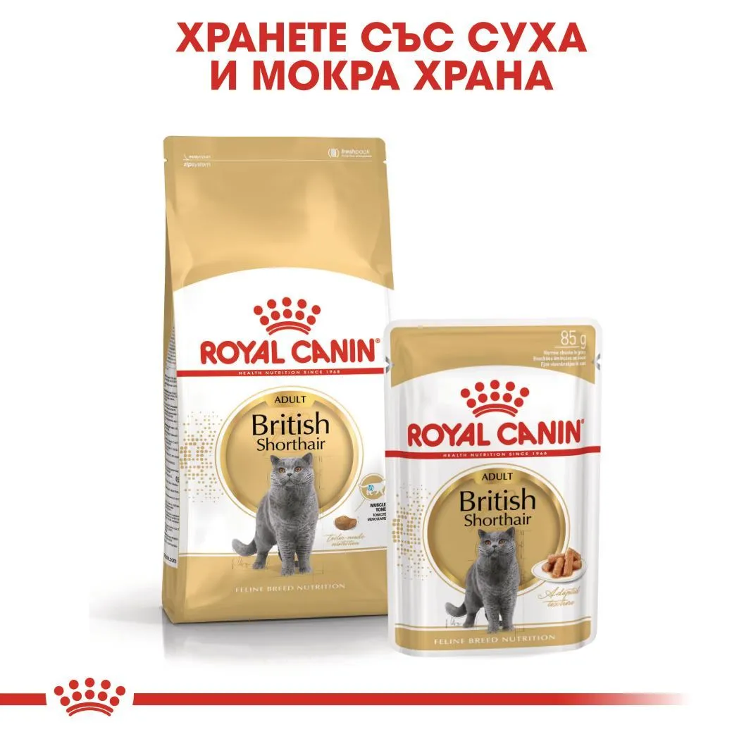ROYAL CANIN® FBN BRITISH SHORTHAIR хапки в сос 85г - изображение 2