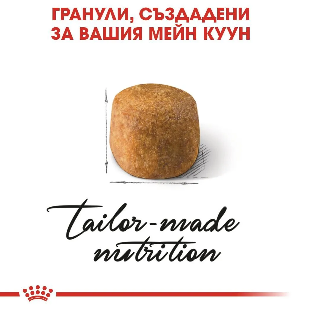 ROYAL CANIN® FBN MAINE COON ADULT 2кг - изображение 4