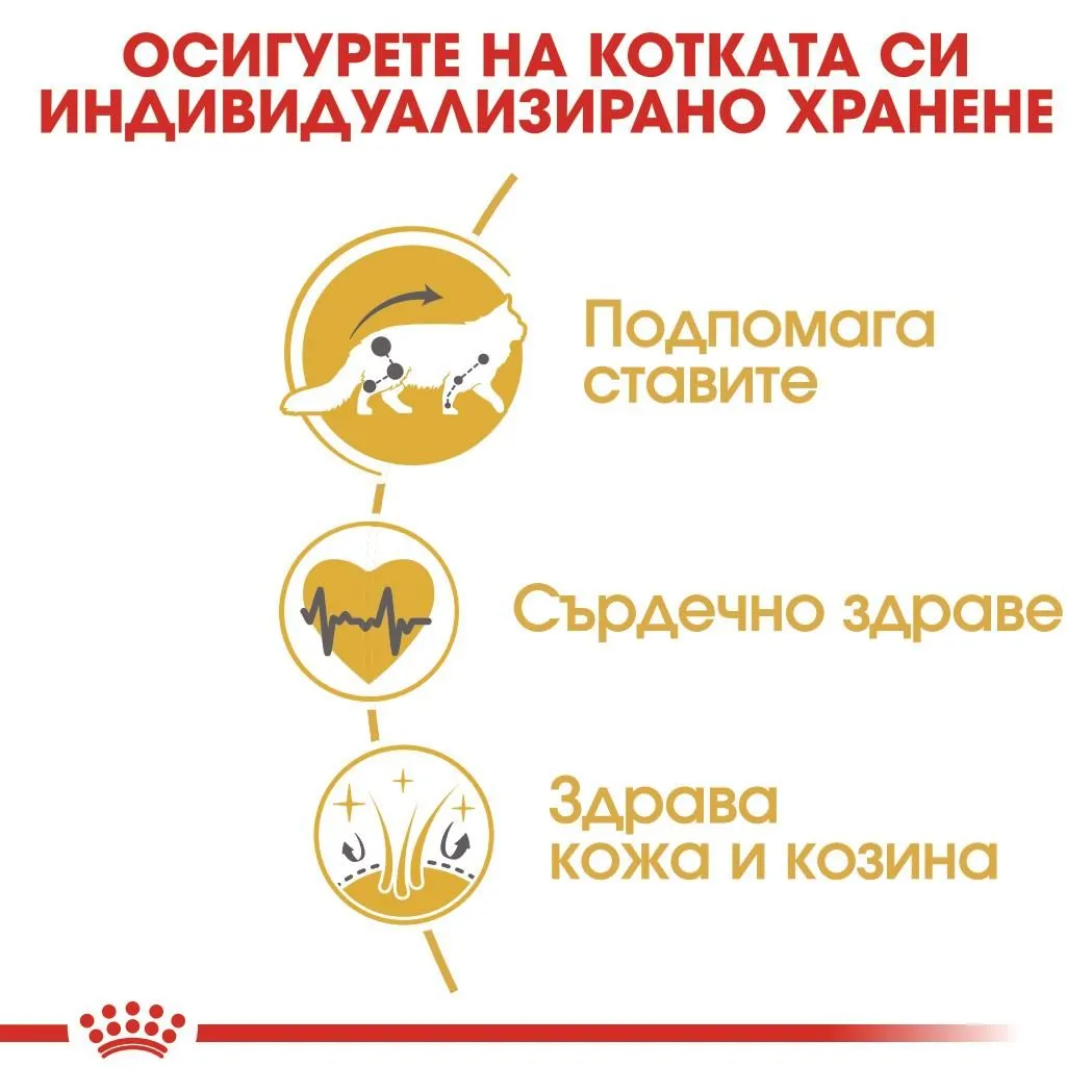 ROYAL CANIN® FBN MAINE COON ADULT 2кг - изображение 3