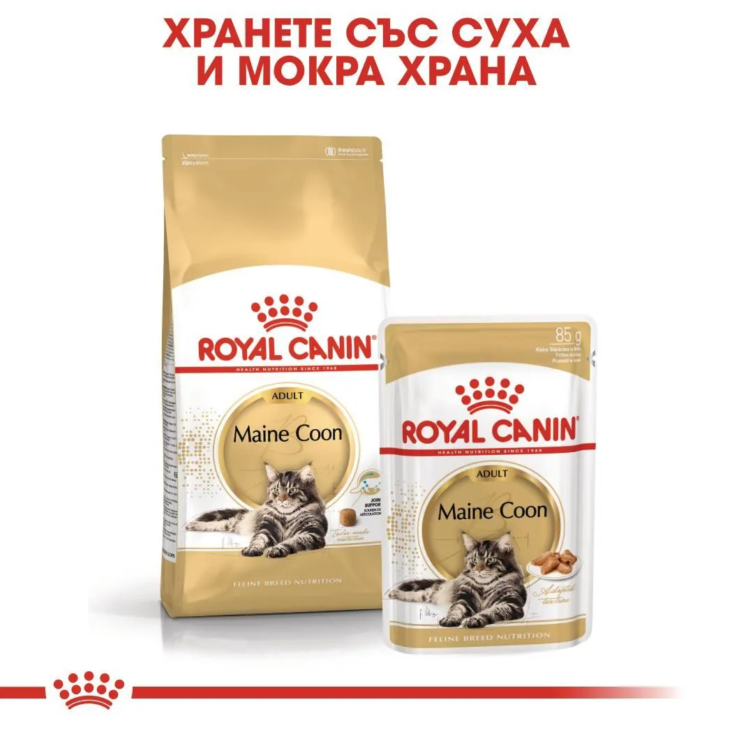 ROYAL CANIN® FBN MAINE COON ADULT 2кг - изображение 2