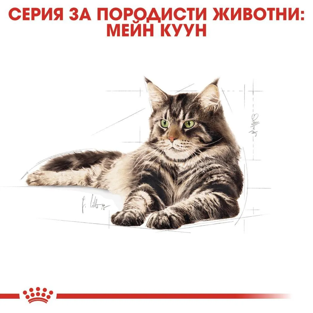 ROYAL CANIN® FBN MAINE COON POUCH хапки в сос 85г - изображение 5
