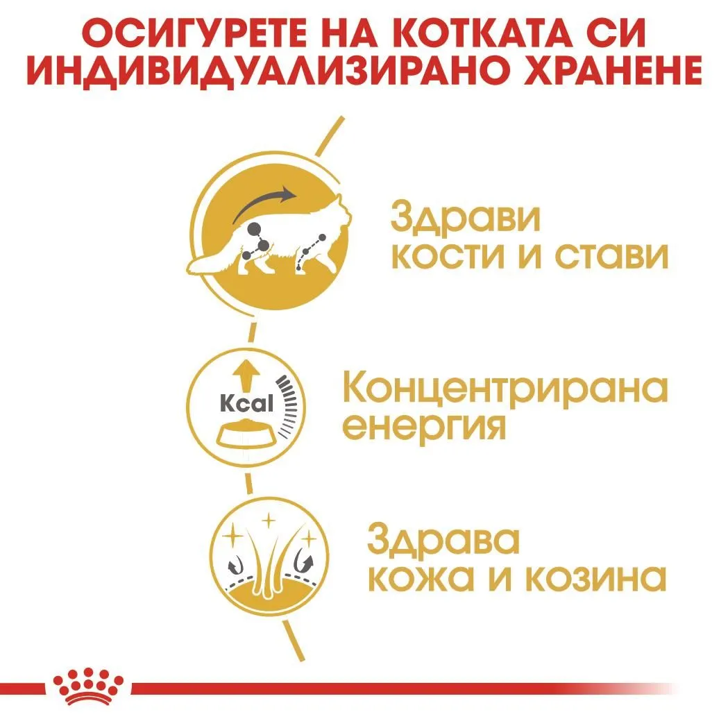 ROYAL CANIN® FBN MAINE COON POUCH хапки в сос 85г - изображение 3