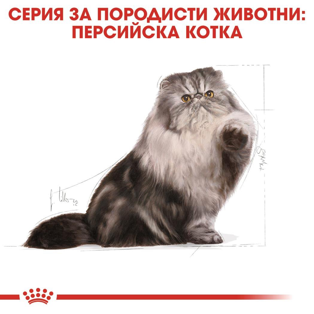 ROYAL CANIN® FBN PERSIAN ADULT 400г - изображение 5