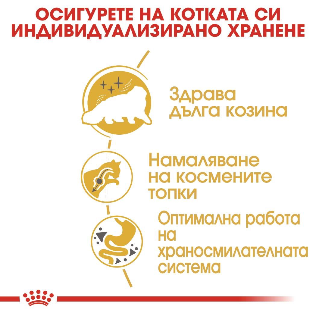 ROYAL CANIN® FBN PERSIAN ADULT 400г - изображение 3