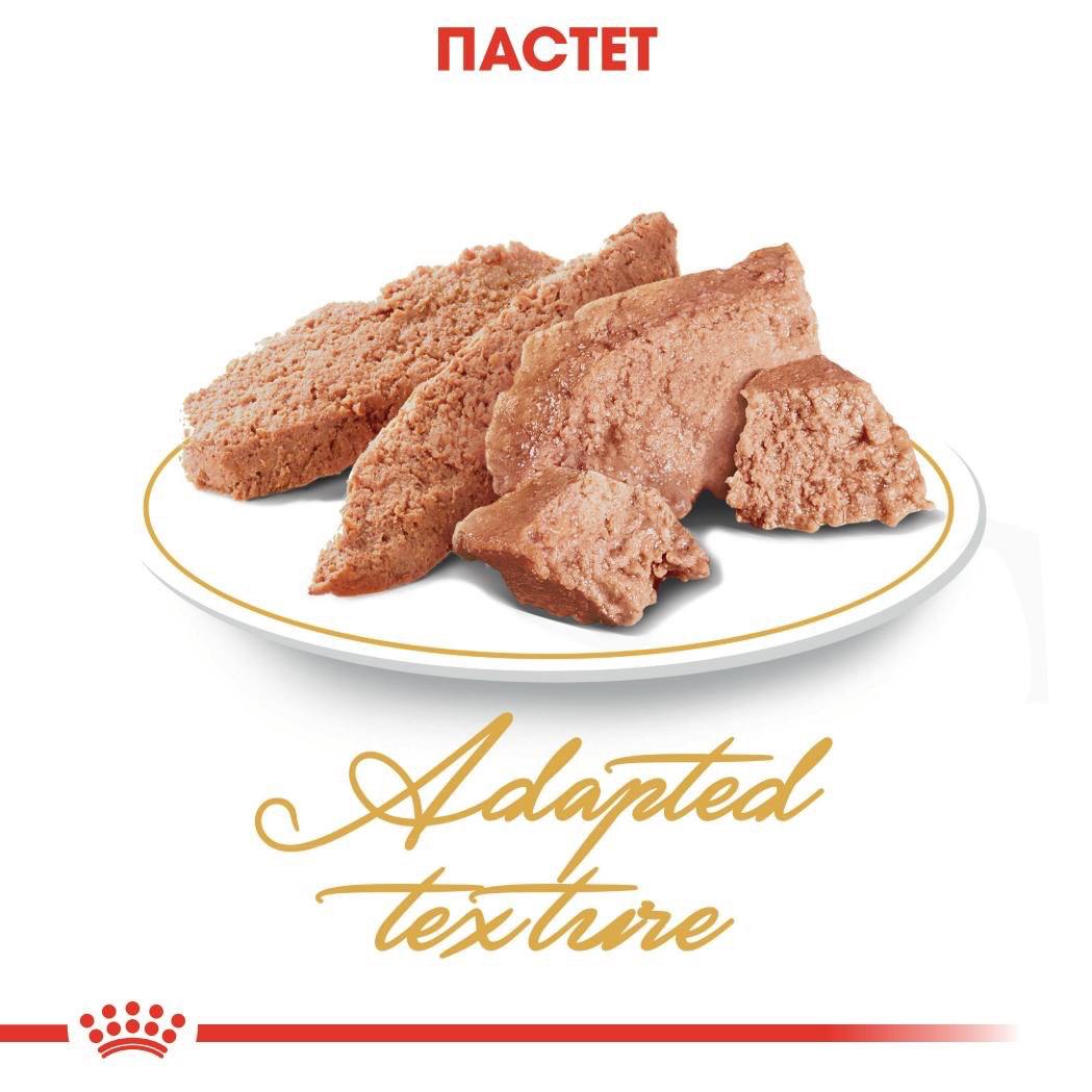 ROYAL CANIN® FBN PERSIAN PASTE 85 g - изображение 1