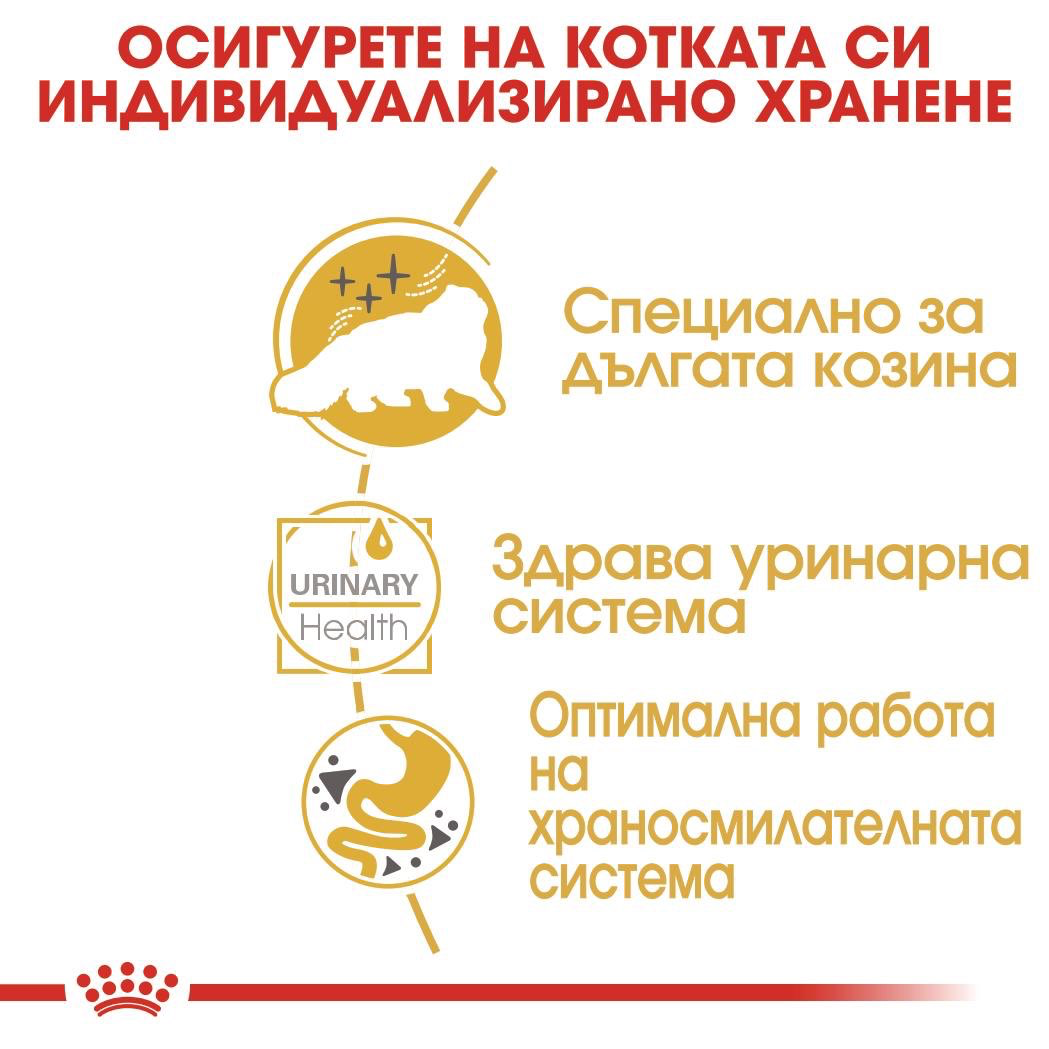 ROYAL CANIN® FBN PERSIAN PASTE 85 g - изображение 2