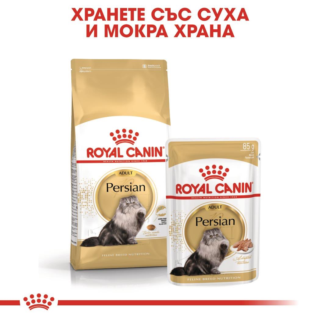 ROYAL CANIN® FBN PERSIAN PASTE 85 g