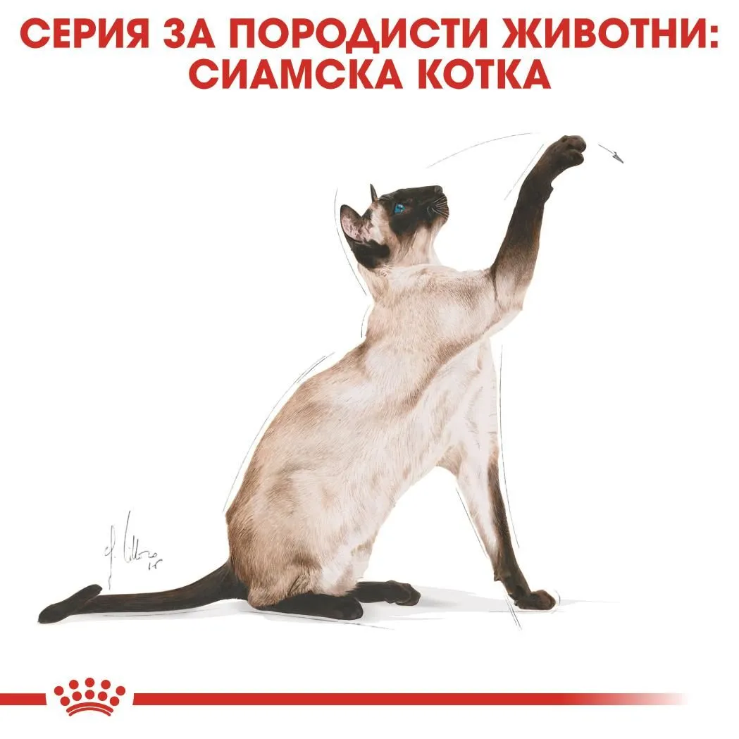 ROYAL CANIN® FBN SIAMESE ADULT 10кг - изображение 4