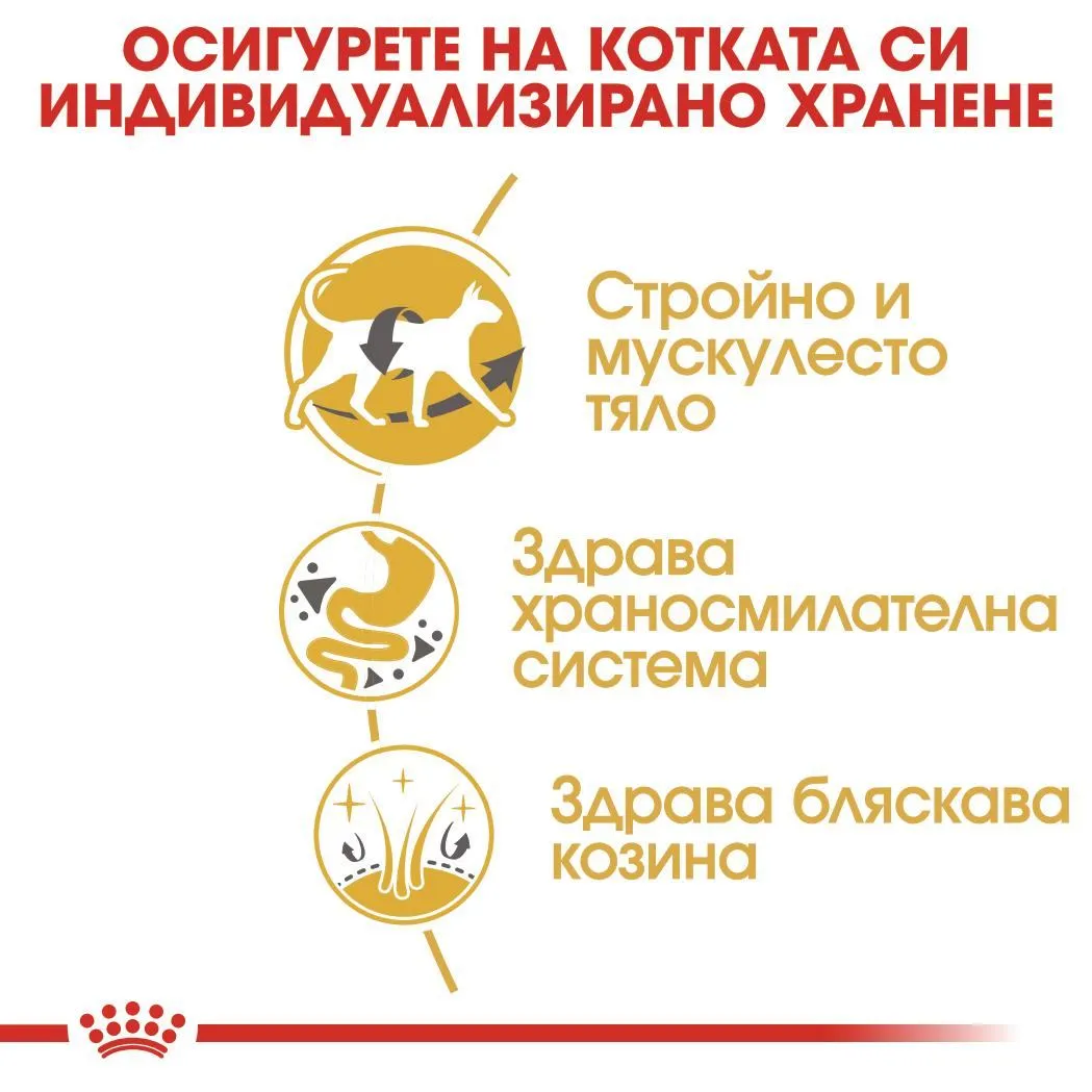 ROYAL CANIN® FBN SIAMESE ADULT 10кг - изображение 2