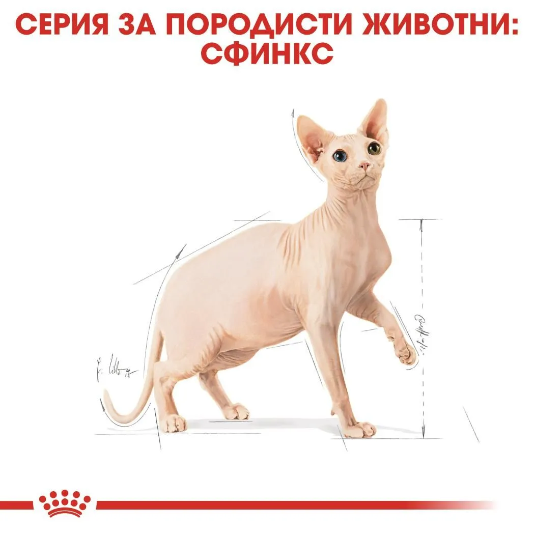ROYAL CANIN® FBN SPHYNX 400г - изображение 4