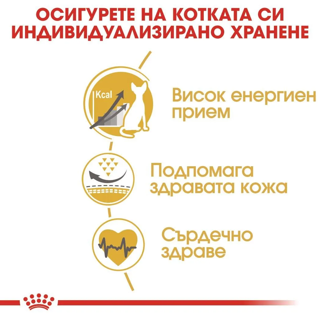 ROYAL CANIN® FBN SPHYNX 400г - изображение 2