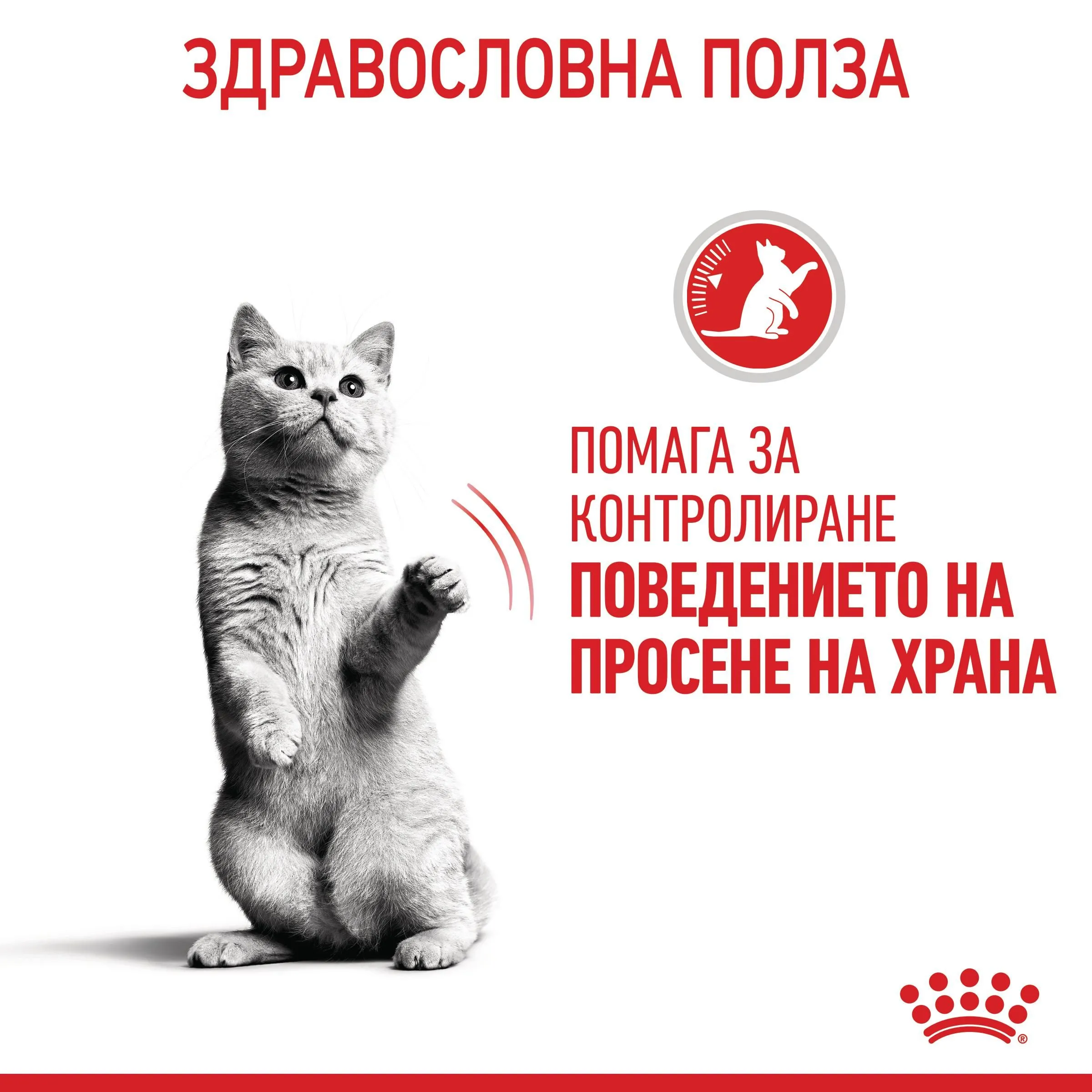ROYAL CANIN® FCN APPETITE CONTROL STERILISED CAT 10кг - изображение 7