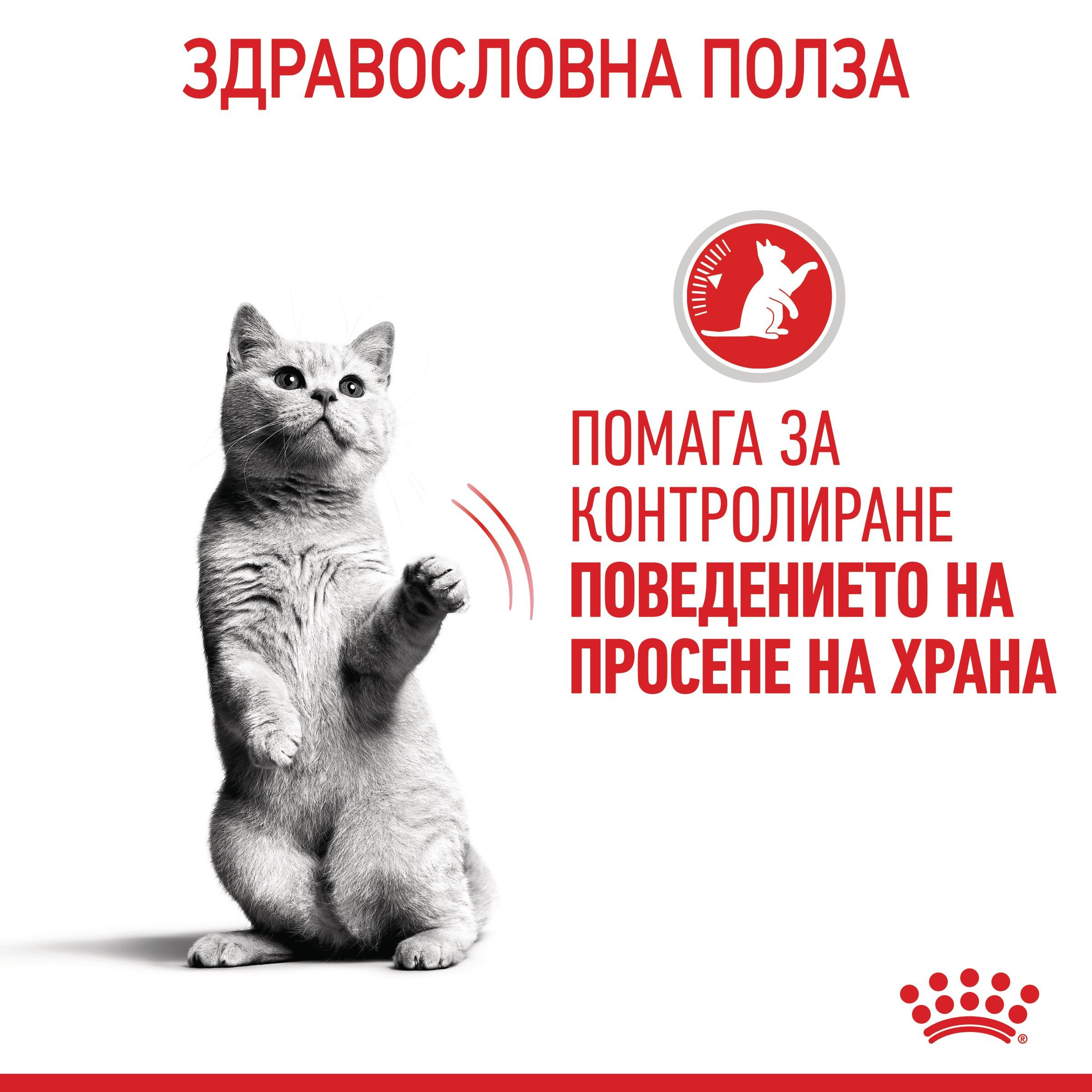 ROYAL CANIN® FCN APPETITE CONTROL CAT 85g - изображение 10