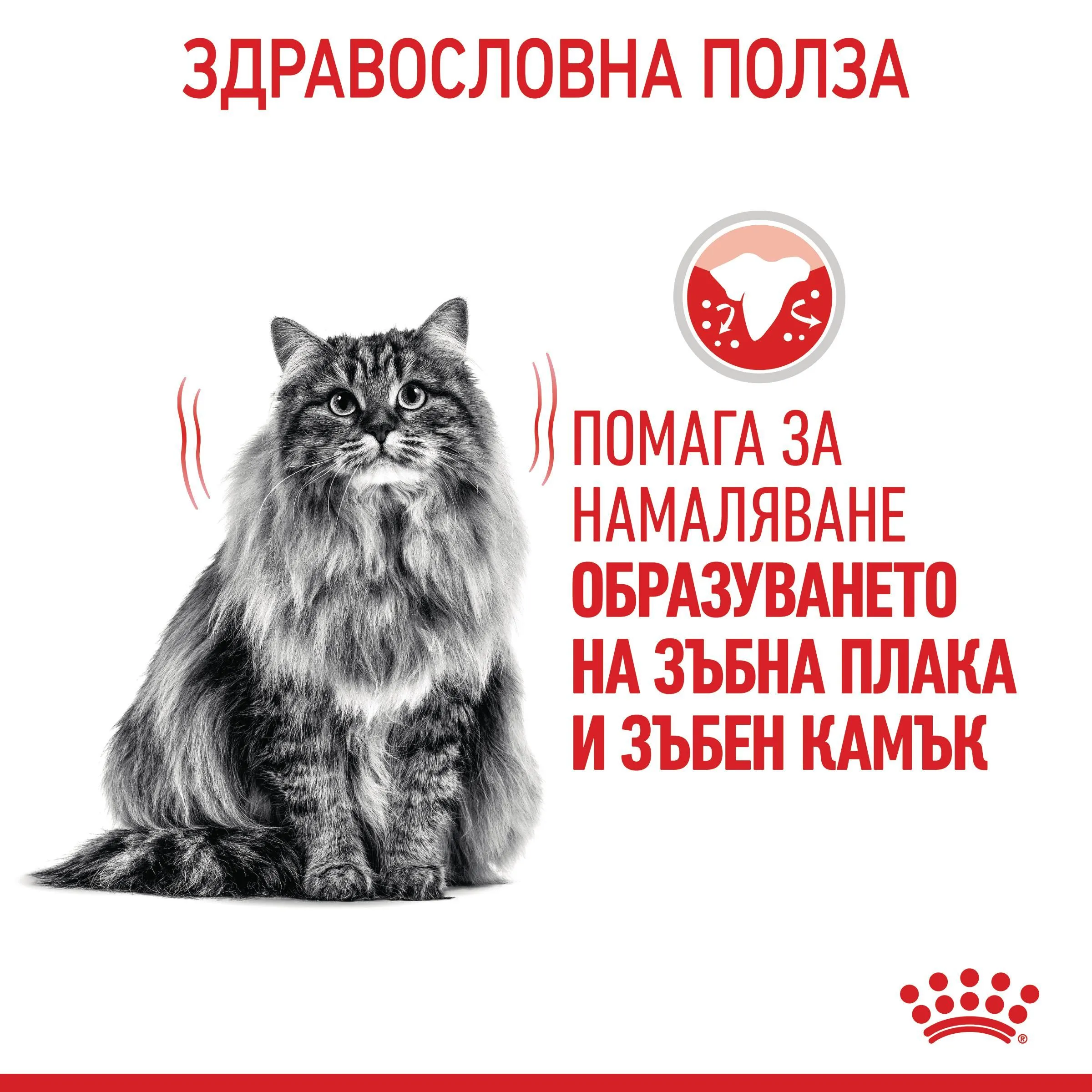 ROYAL CANIN® FCN DENTAL CARE CAT 400 гр. - изображение 3