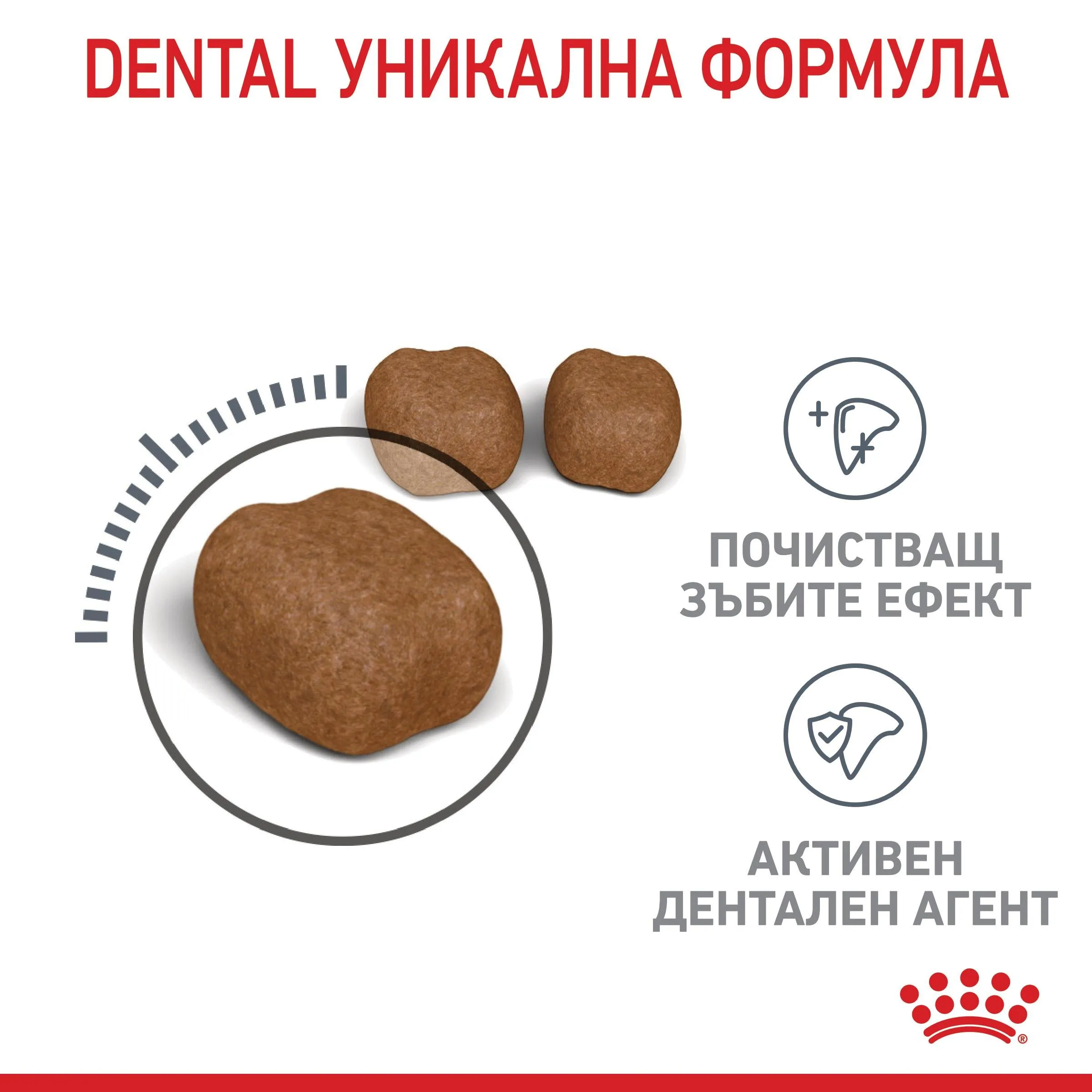 ROYAL CANIN® FCN DENTAL CARE CAT 400 гр. - изображение 4