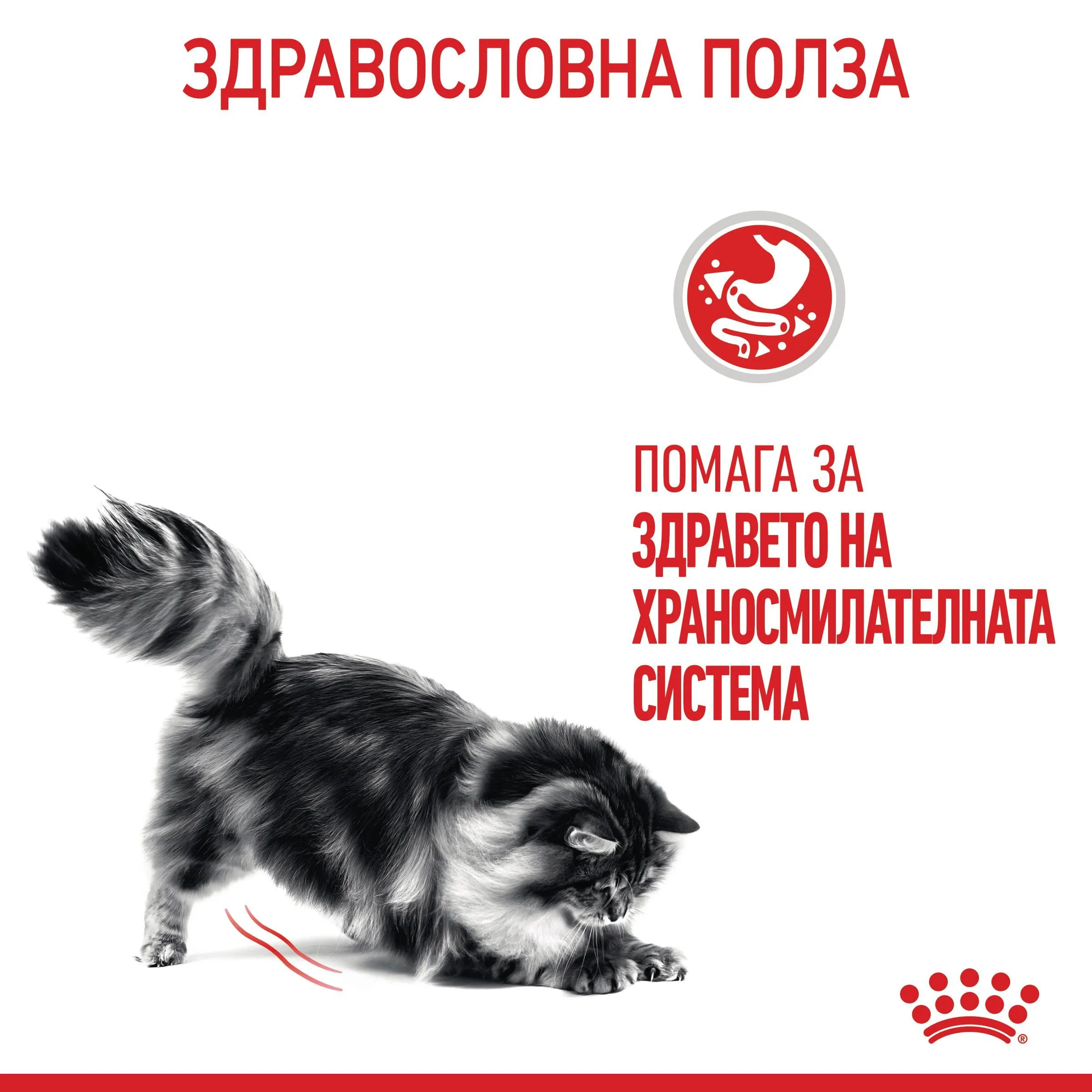 ROYAL CANIN® FCN CARE DIGESTIVE CAT 10kg - изображение 3