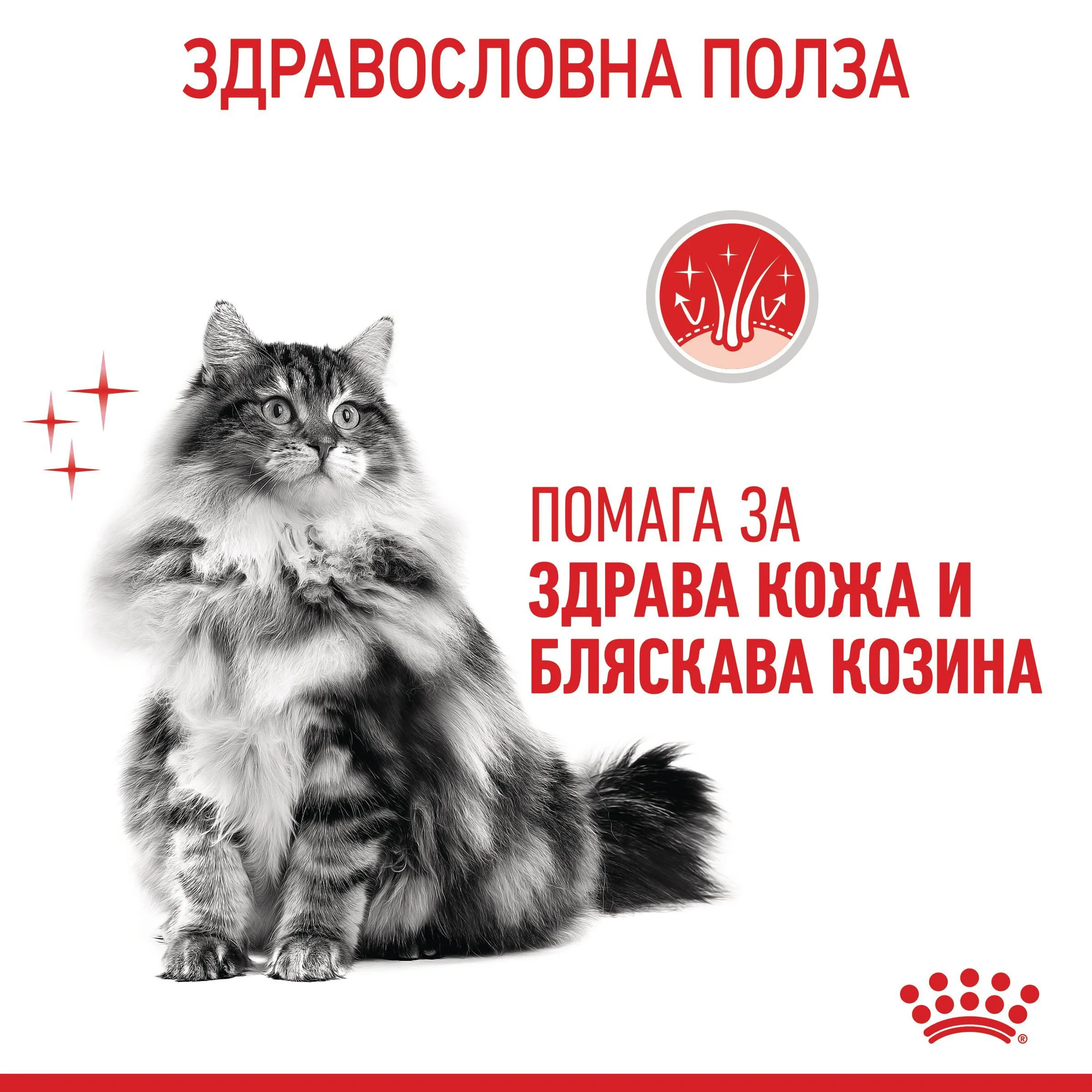 ROYAL CANIN® FCN CARE HAIR&SKIN 2кг - изображение 7