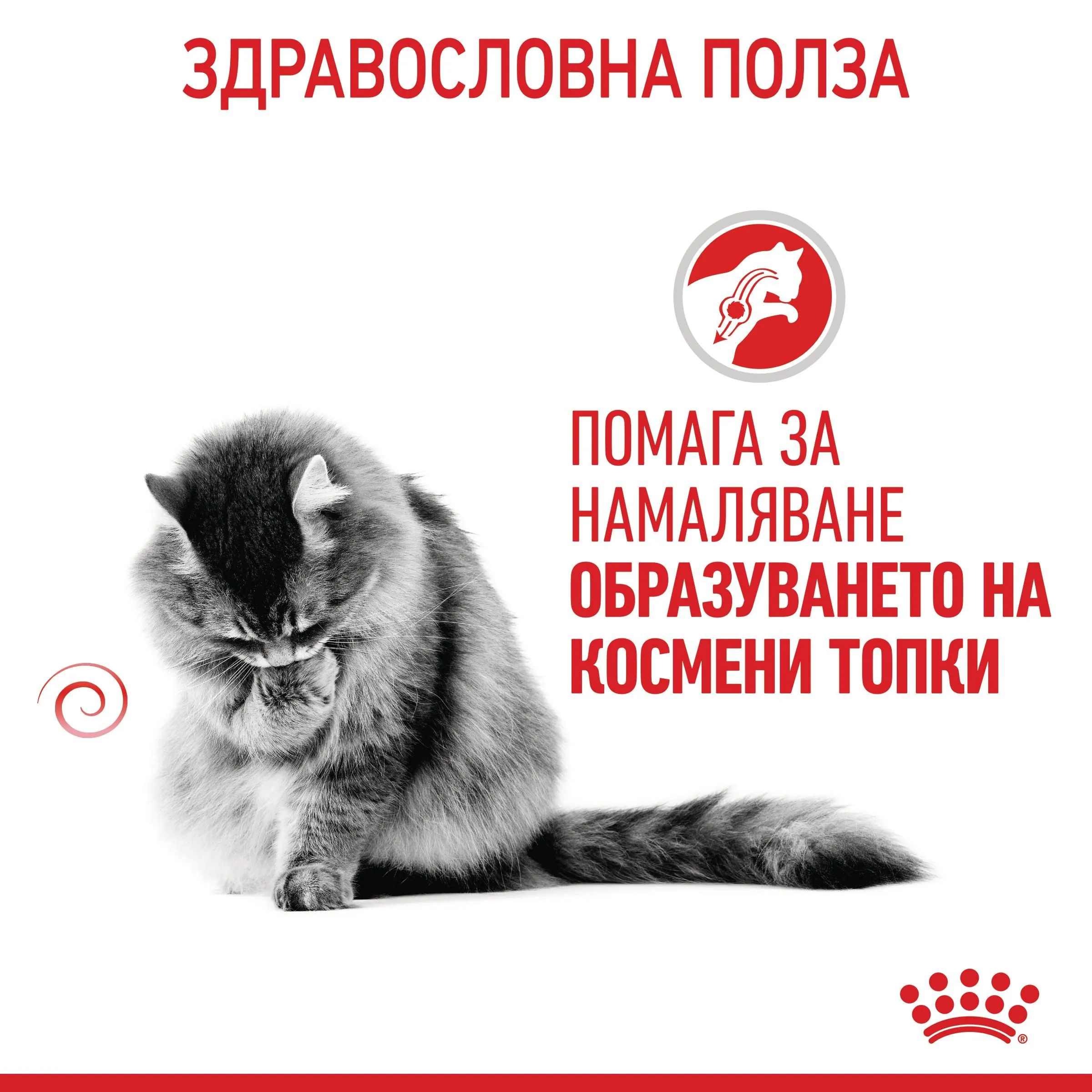 ROYAL CANIN® FCN CARE HAIRBALL 10kg - изображение 7