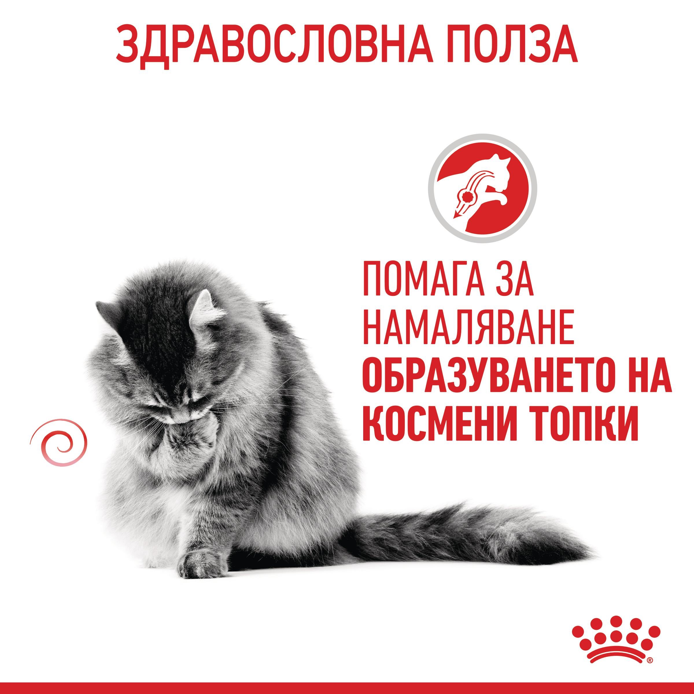 ROYAL CANIN® FCN CARE HAIRBALL 85g - изображение 10