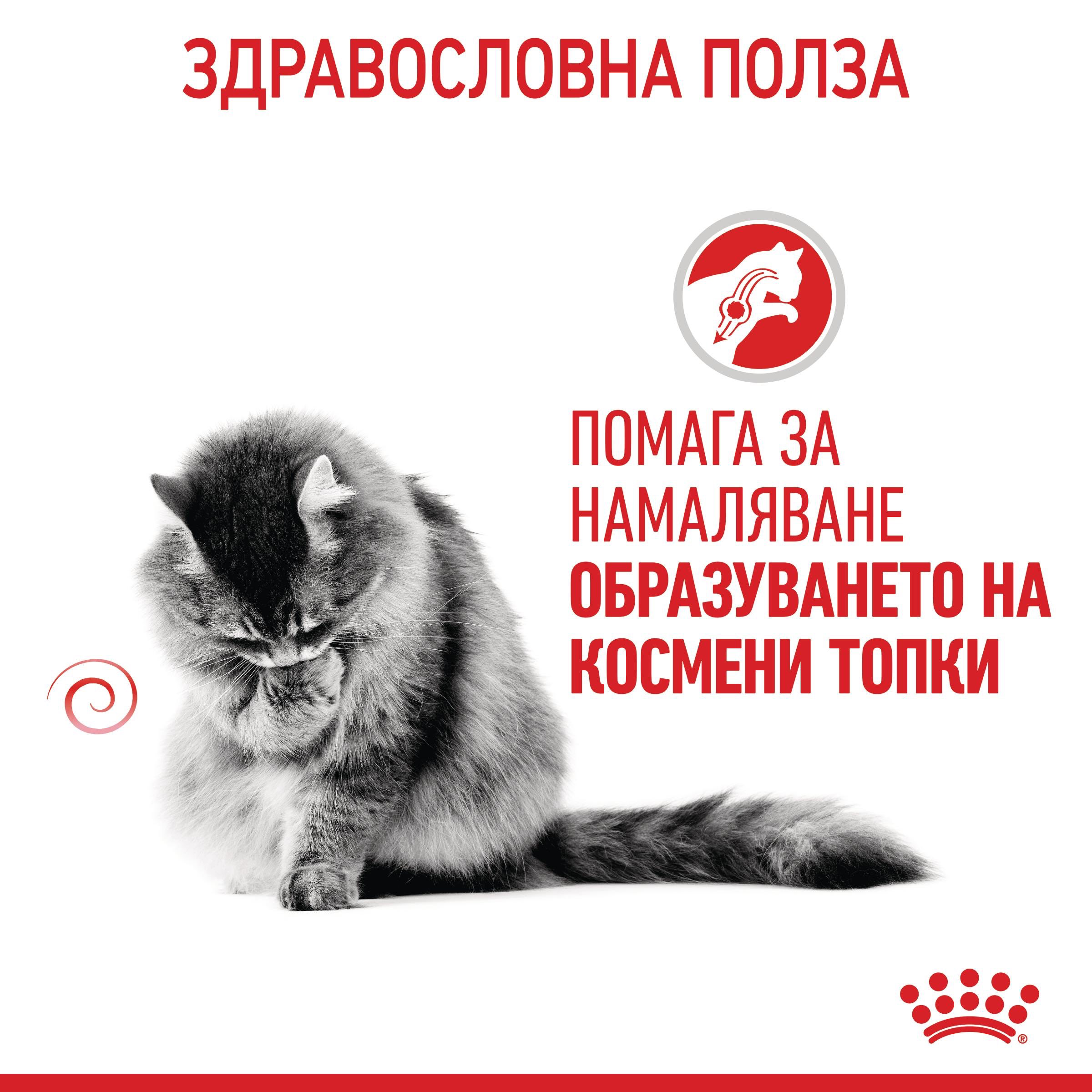 ROYAL CANIN® FCN CARE HAIRBALL chews in jelly 85g - изображение 9