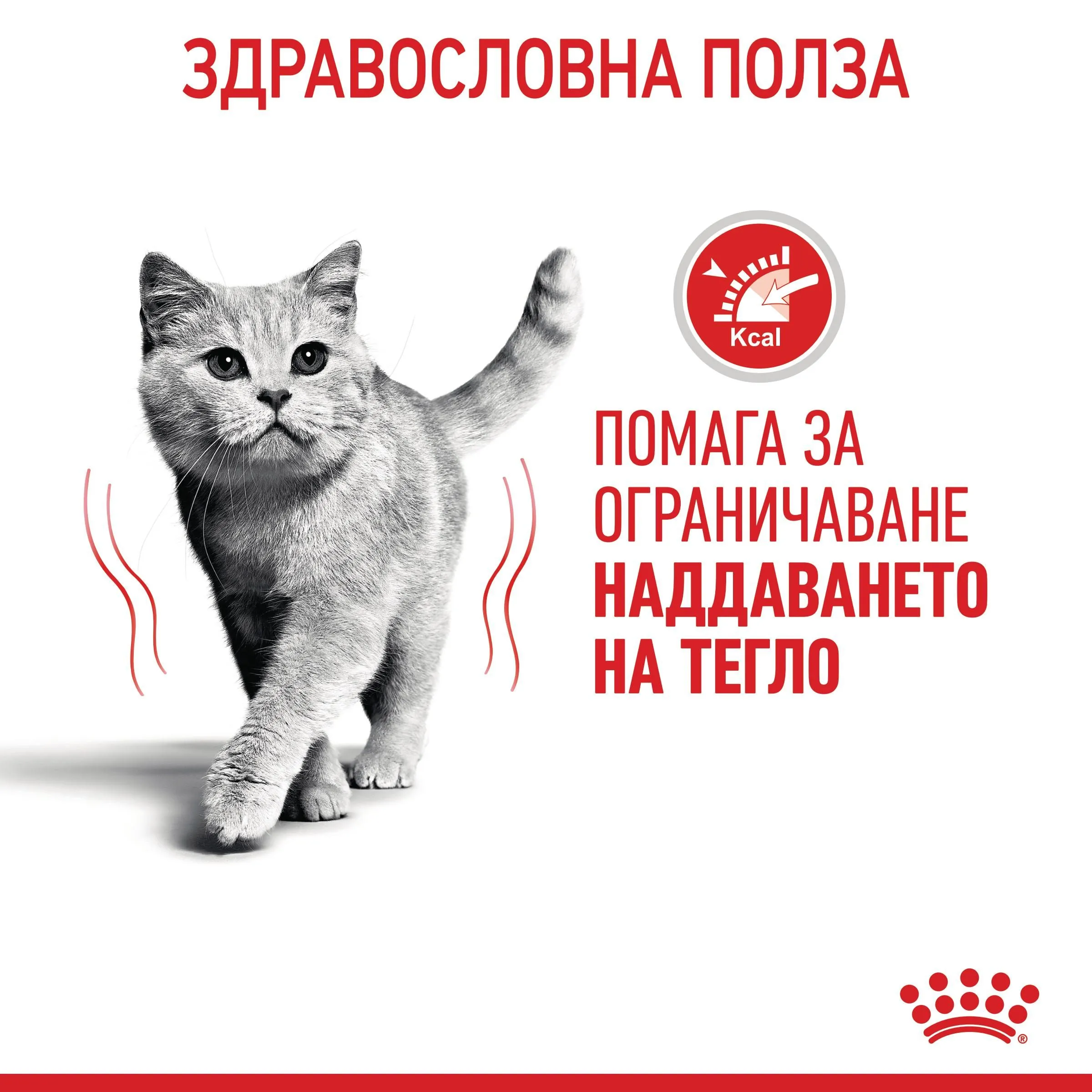 ROYAL CANIN® FCN LIGHT WEIGHT CARE CAT 1.5кг - изображение 3