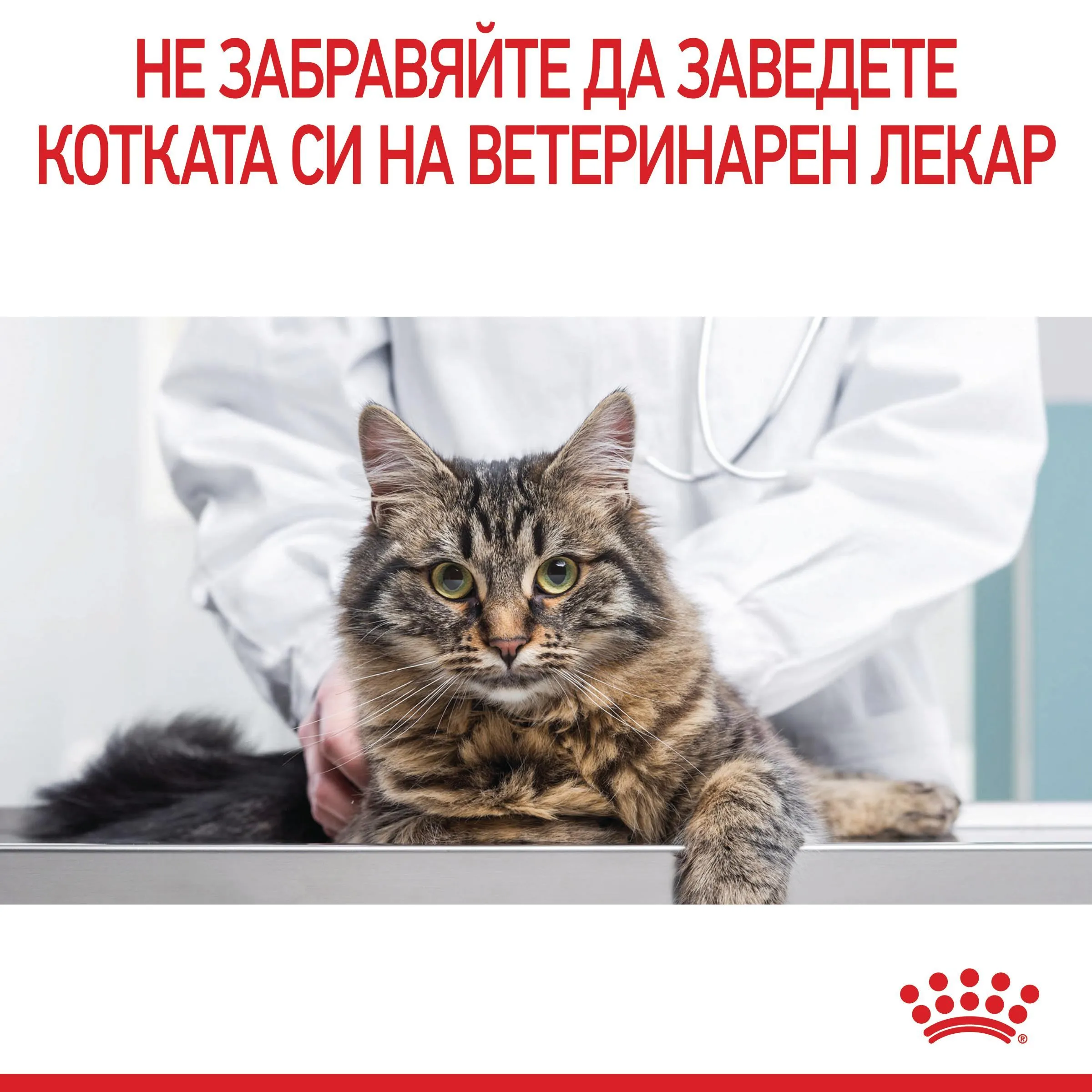 ROYAL CANIN® FCN LIGHT WEIGHT CARE CAT 1.5кг - изображение 8