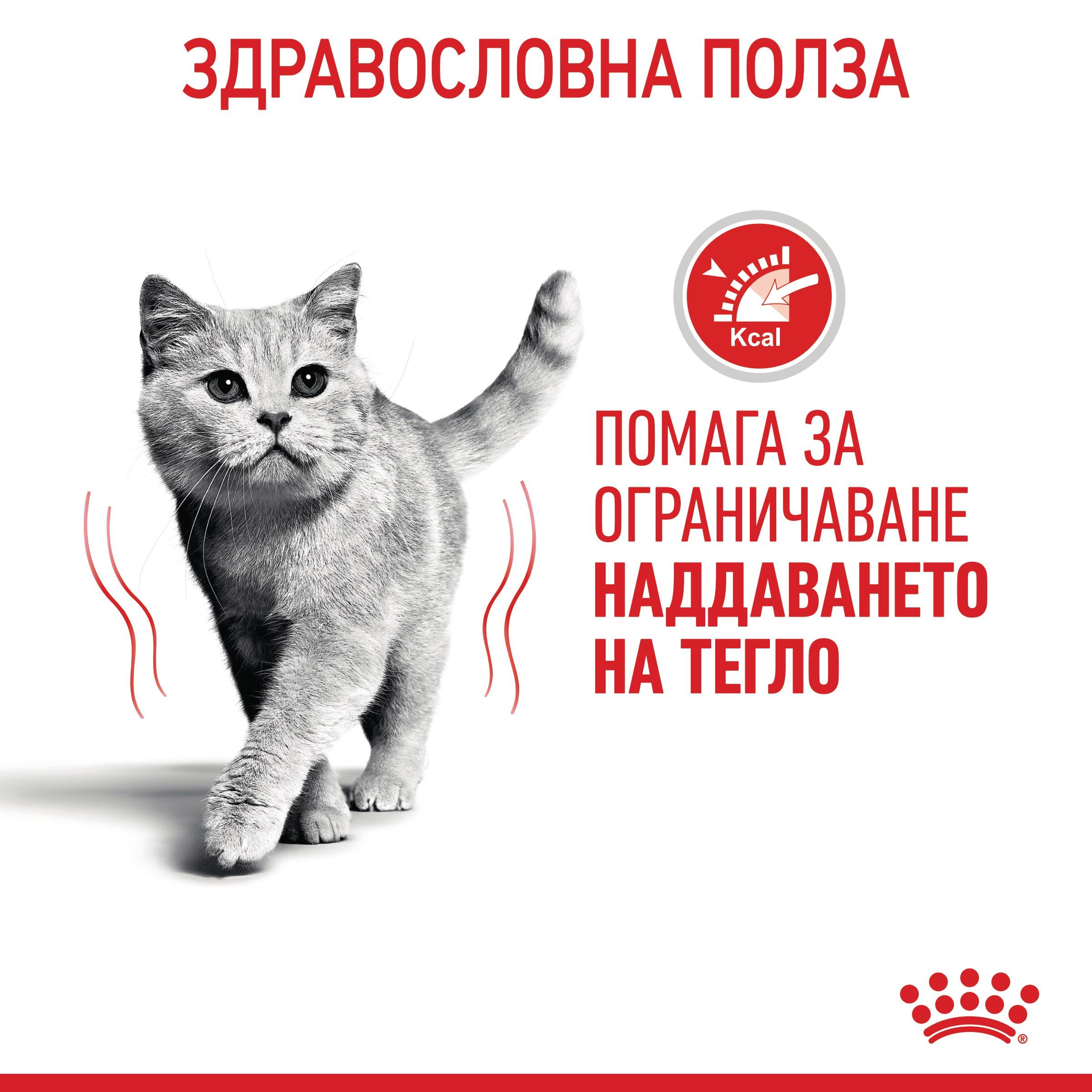 ROYAL CANIN® FCN LIGHT WEIGHT CARE 85g - изображение 9