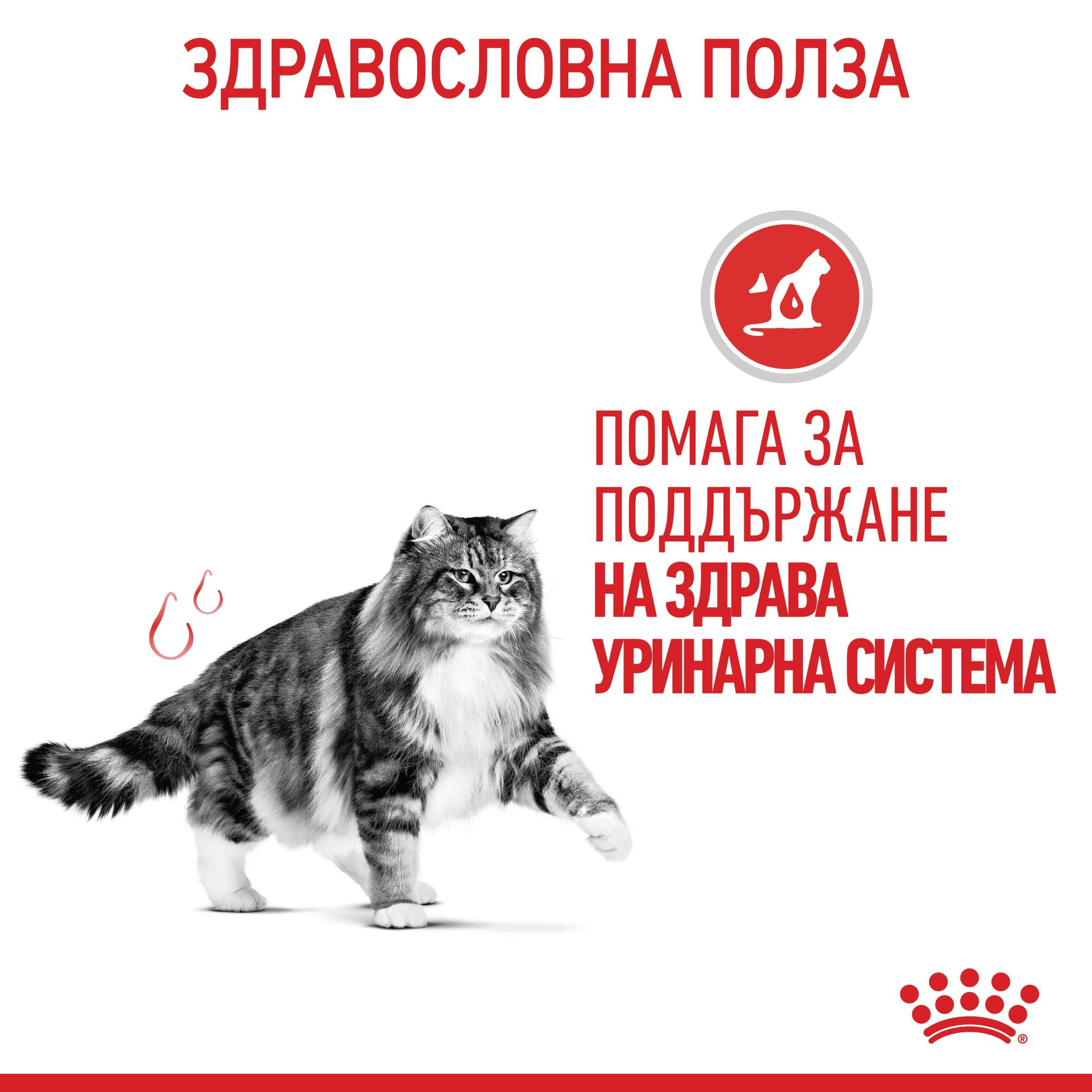 ROYAL CANIN® FCN CARE URINARY 85g sachets - изображение 10