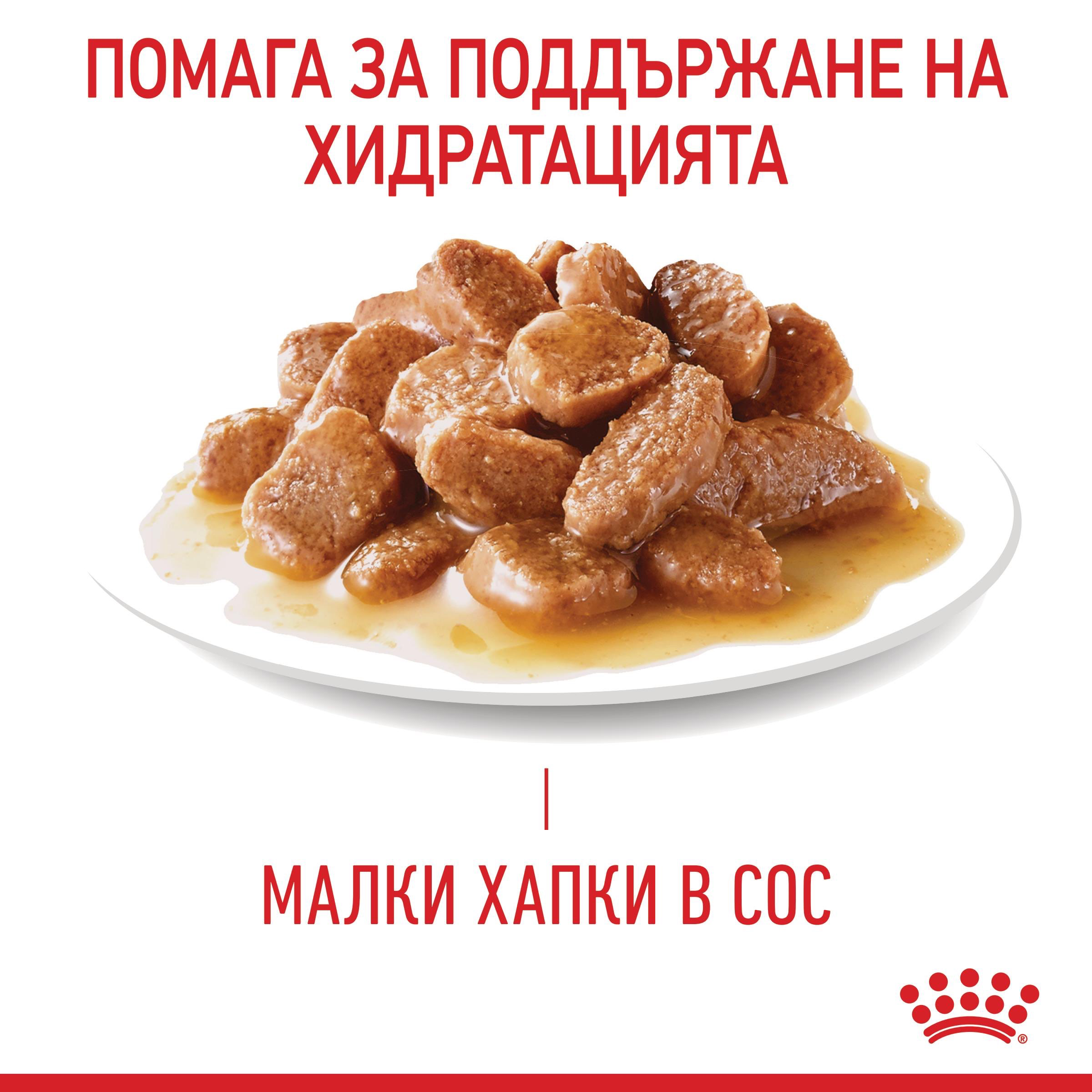 ROYAL CANIN® FCN CARE URINARY 85g sachets - изображение 9