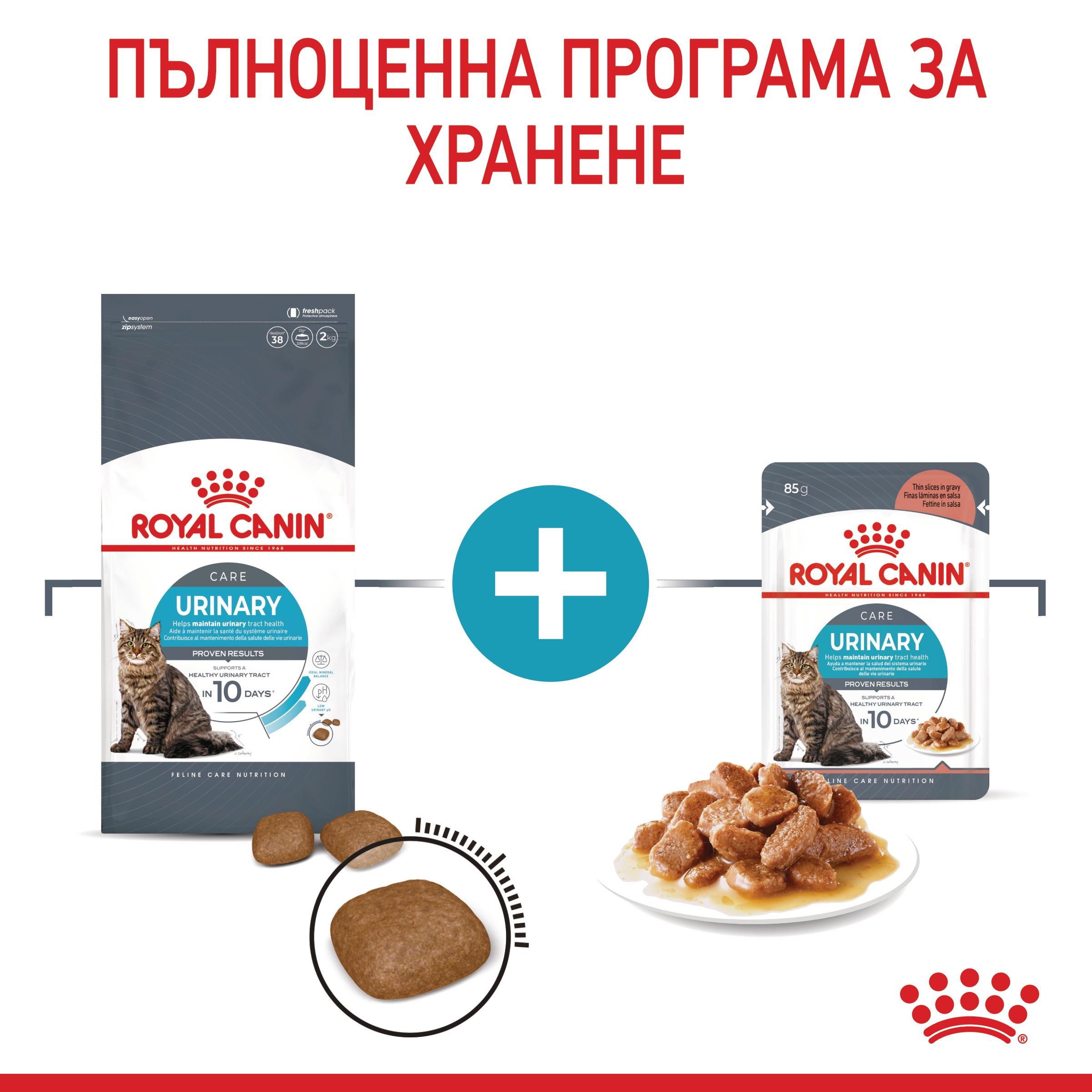 ROYAL CANIN® FCN CARE URINARY 85g sachets - изображение 8