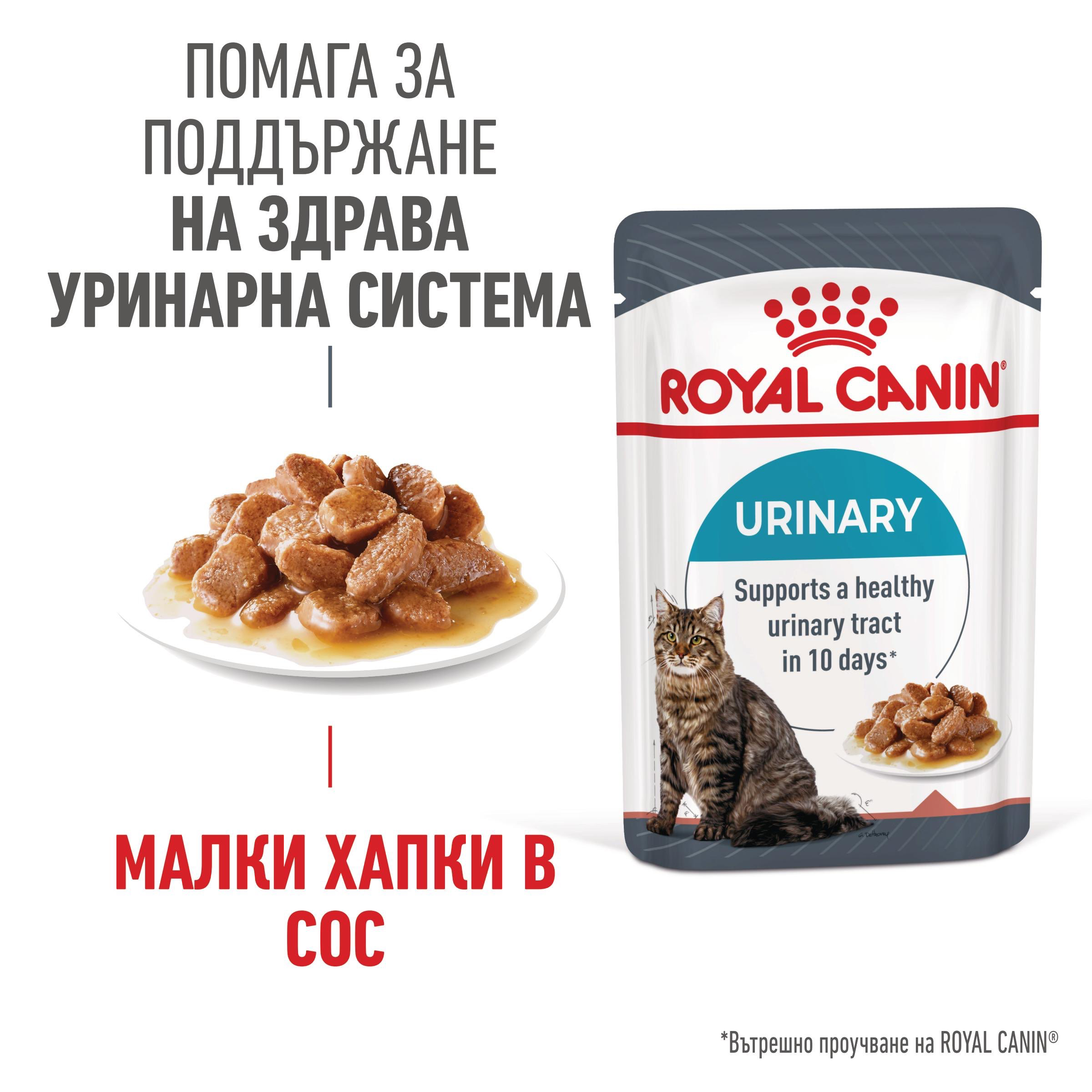 ROYAL CANIN® FCN CARE URINARY 85g sachets - изображение 4