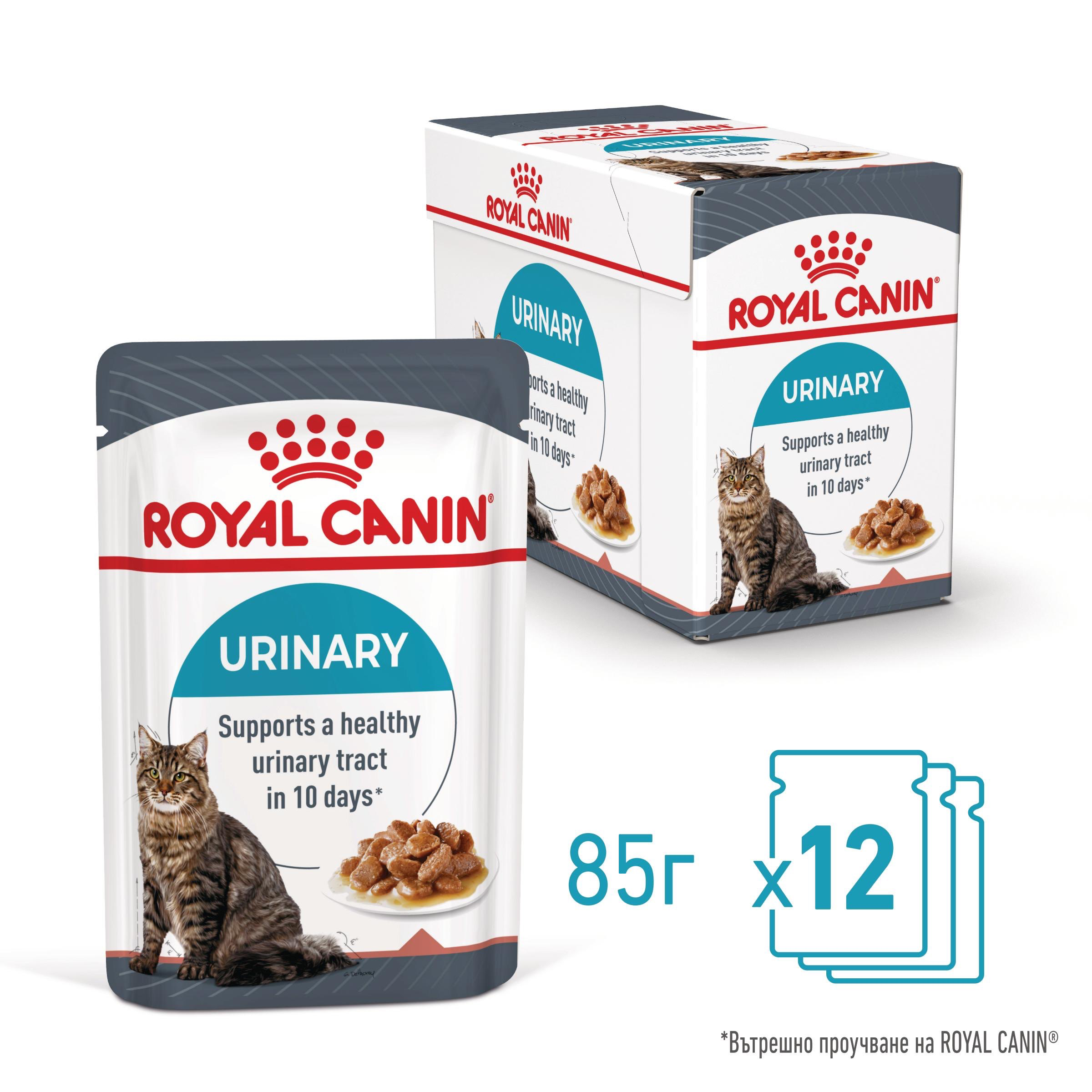 ROYAL CANIN® FCN CARE URINARY 85g sachets - изображение 3