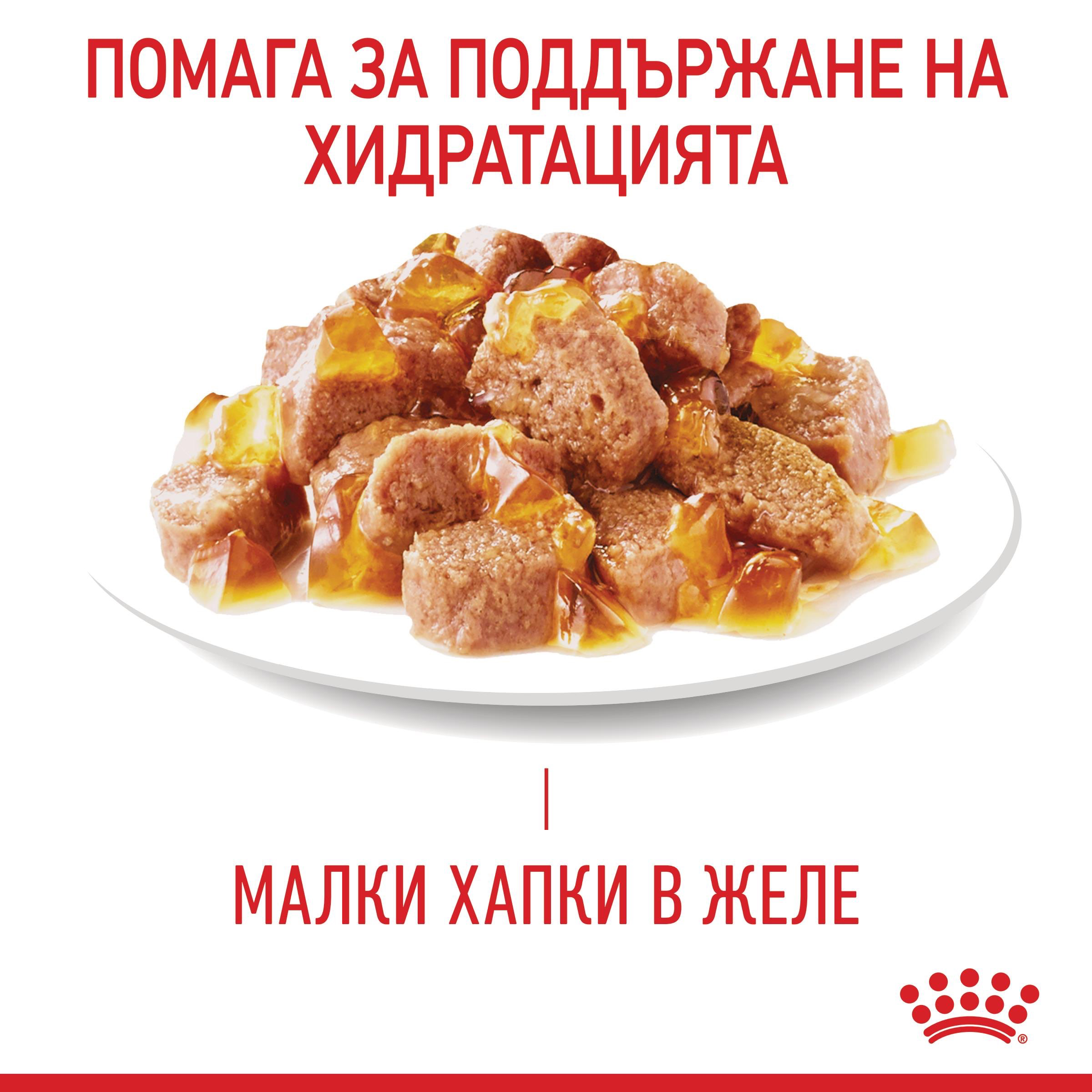 ROYAL CANIN® FCN CARE URINARY хапки в желе 85г - изображение 9